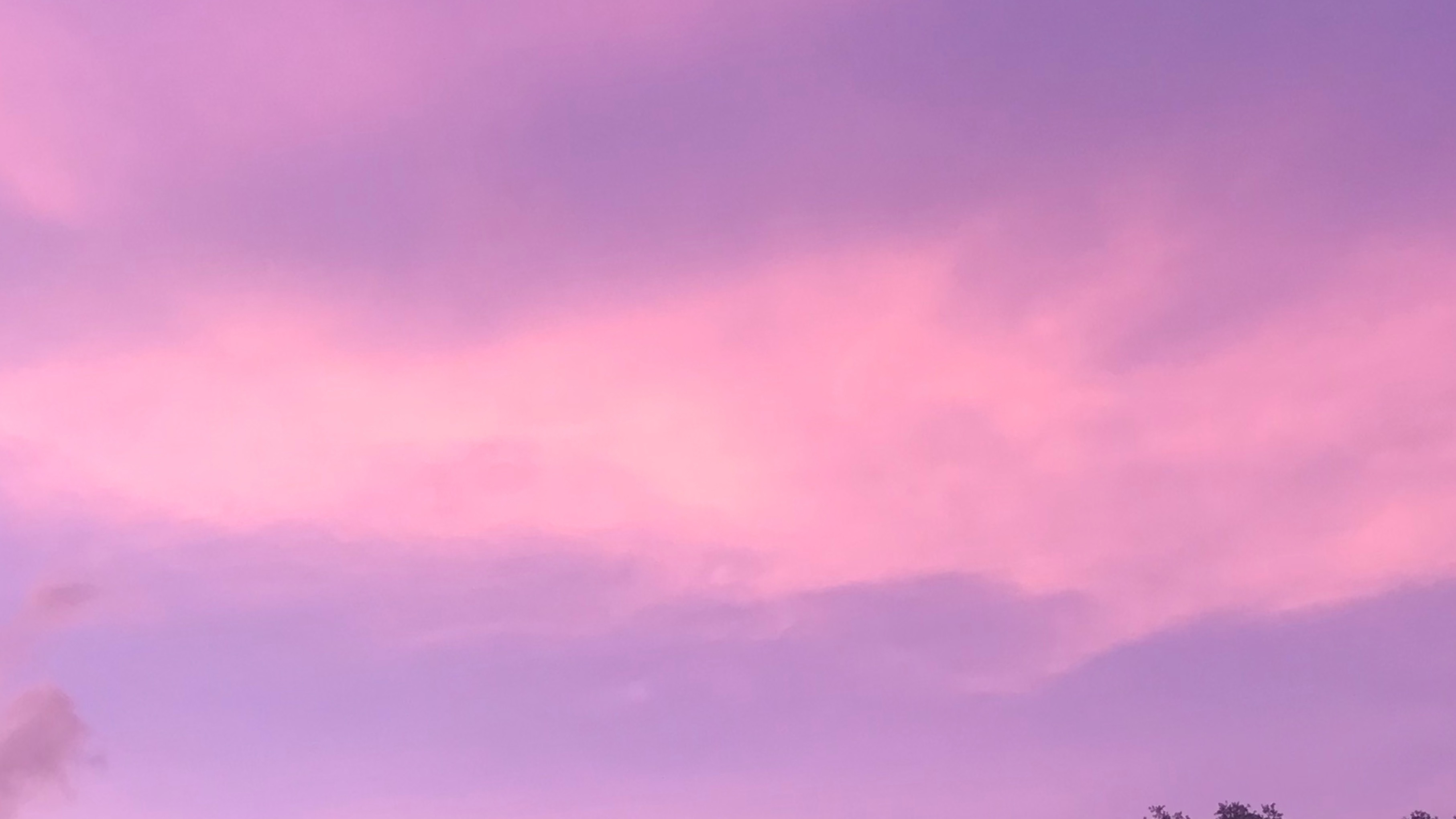 *:･ﾟ✧‎ ｡･  *🌸*:･ﾟ✧‎ ｡･ OnlyFans header