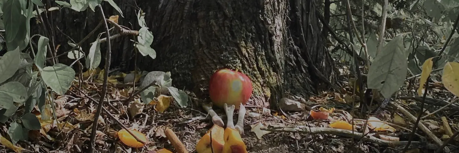 KANE OnlyFans header