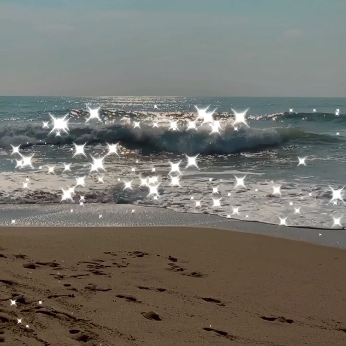 $lutty fggt OnlyFans header