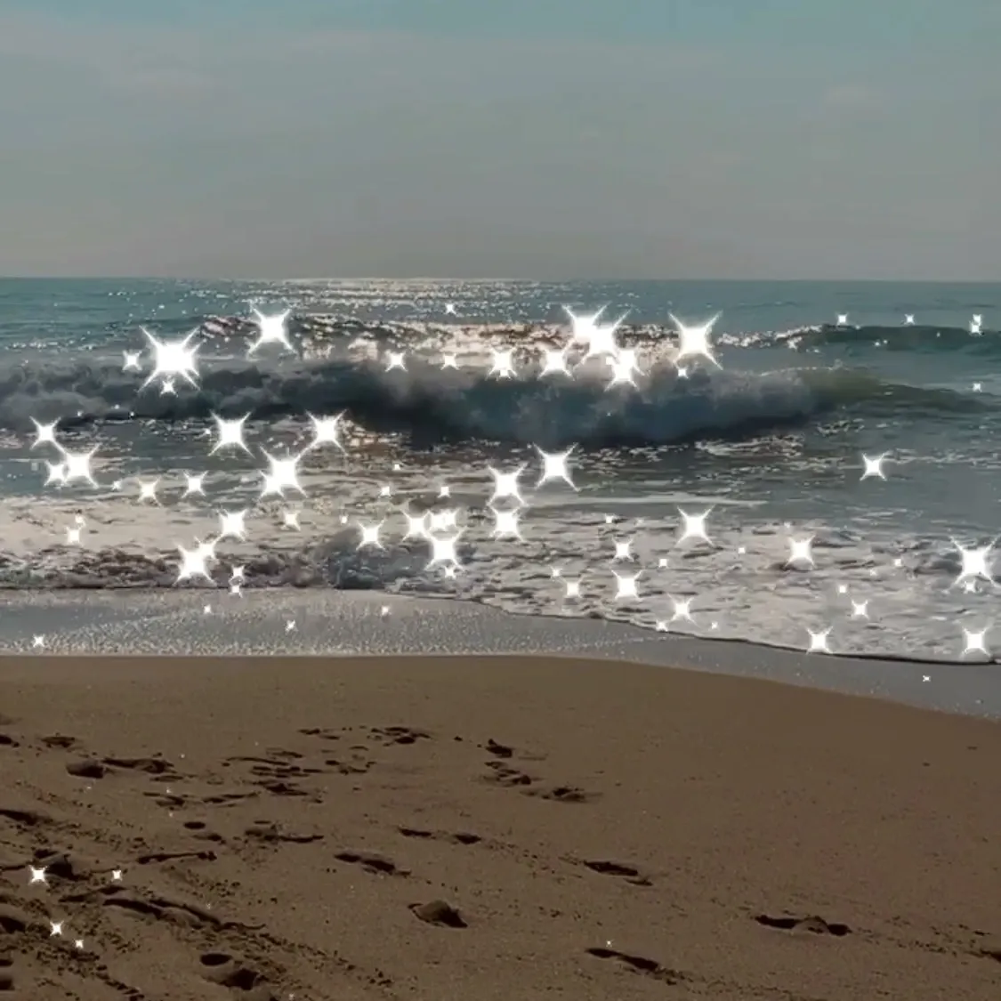 $lutty fggt OnlyFans header