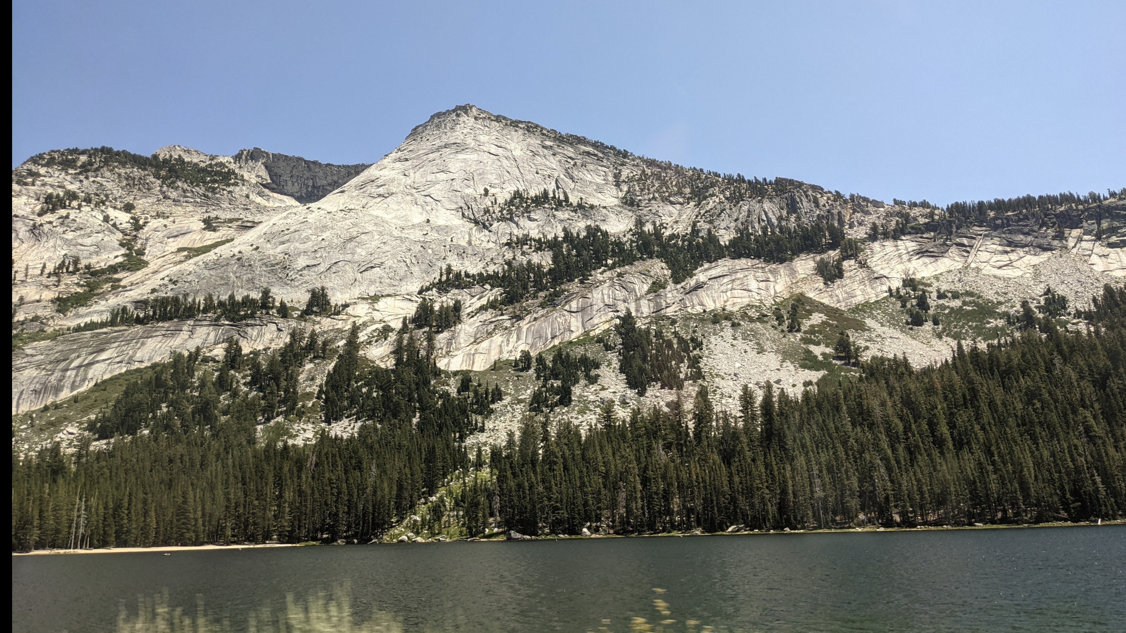 naked bear OnlyFans header