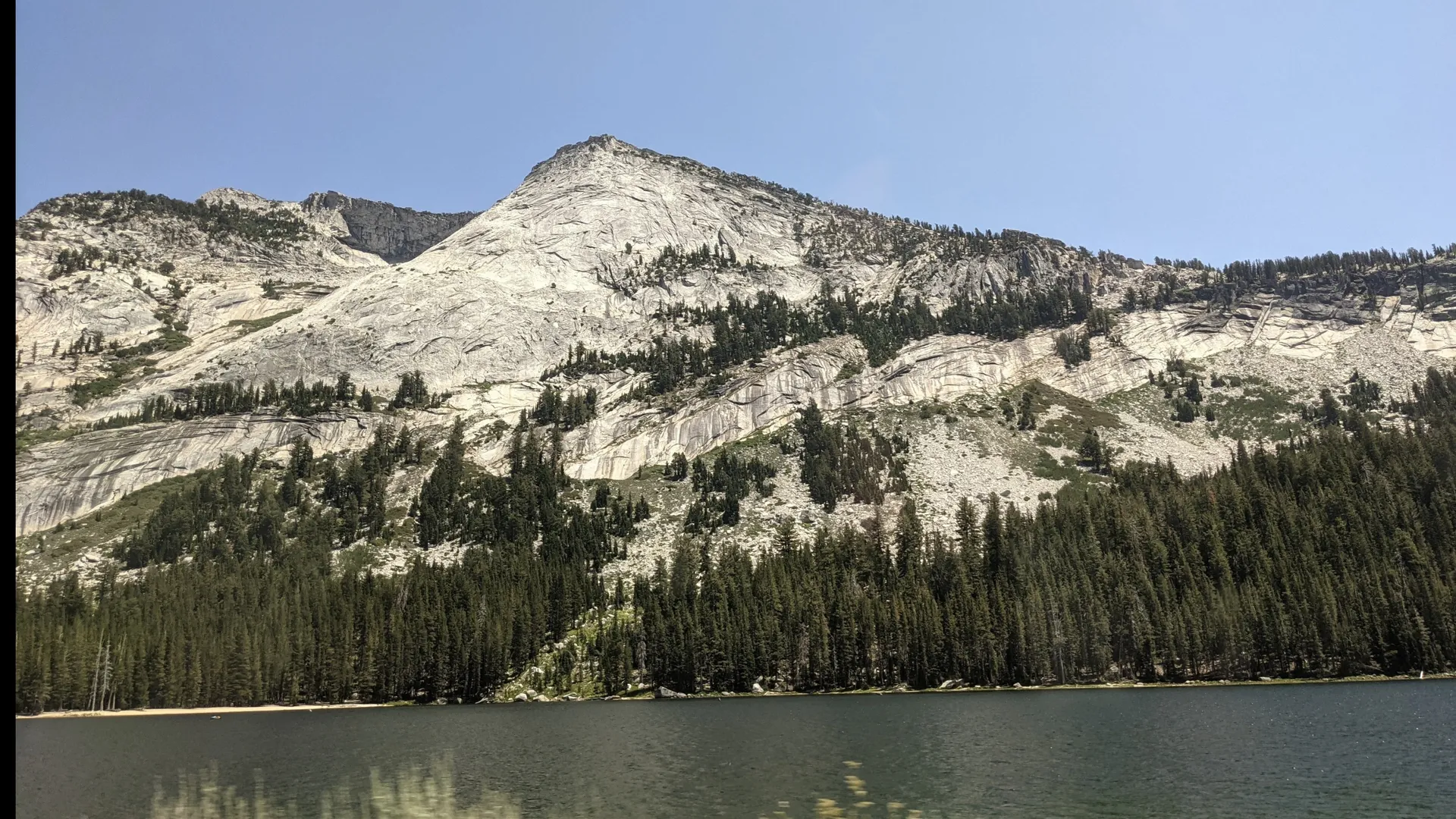 naked bear OnlyFans header