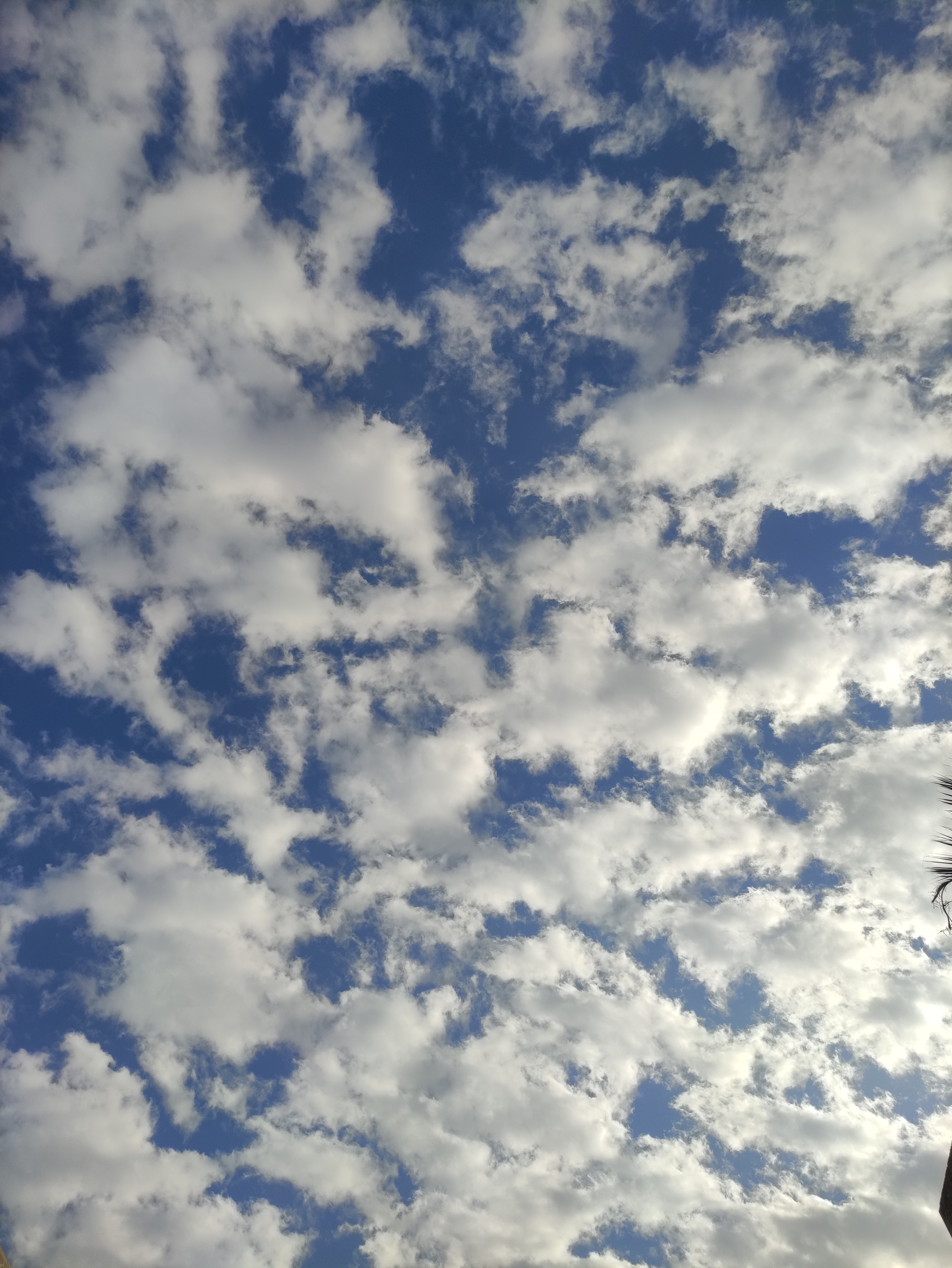 Baby OnlyFans header