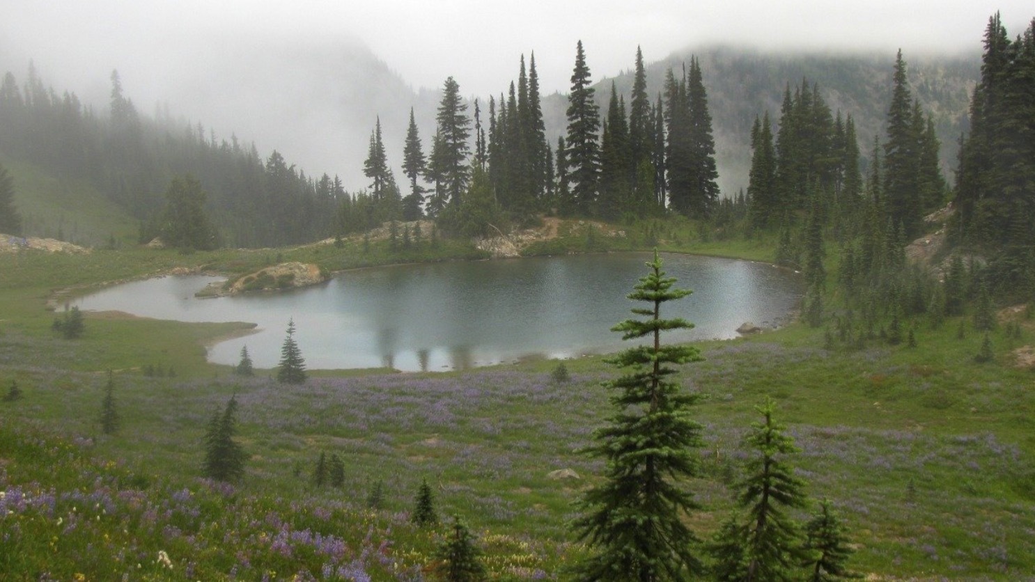 ☽ bunny ☾ OnlyFans header