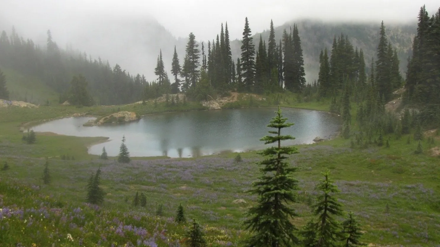 ☽ bunny ☾ OnlyFans header