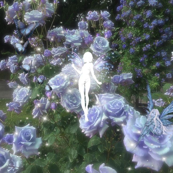 Alessandra OnlyFans header