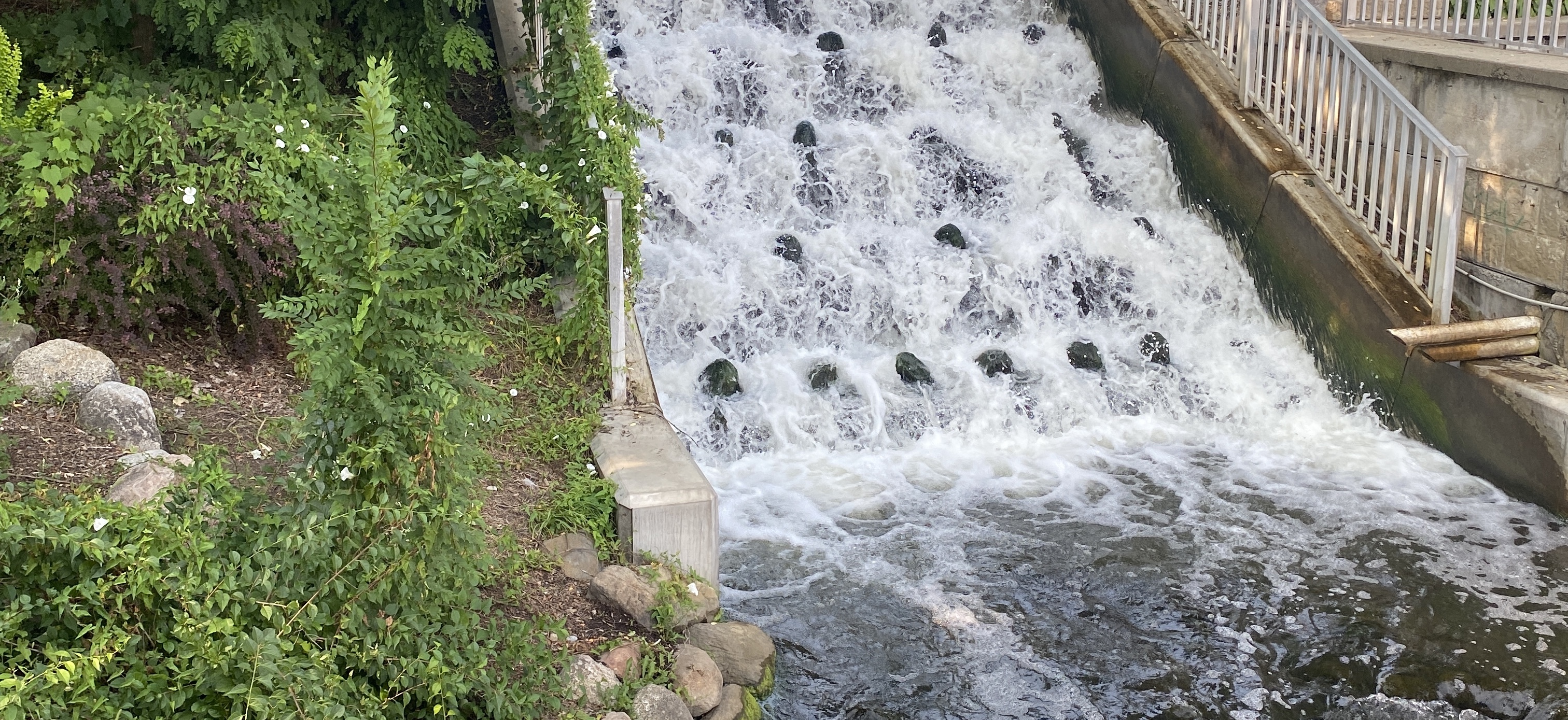 B.The Fairy 🧚🏾 OnlyFans header