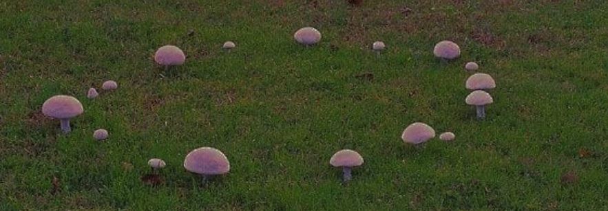 lyssa OnlyFans header