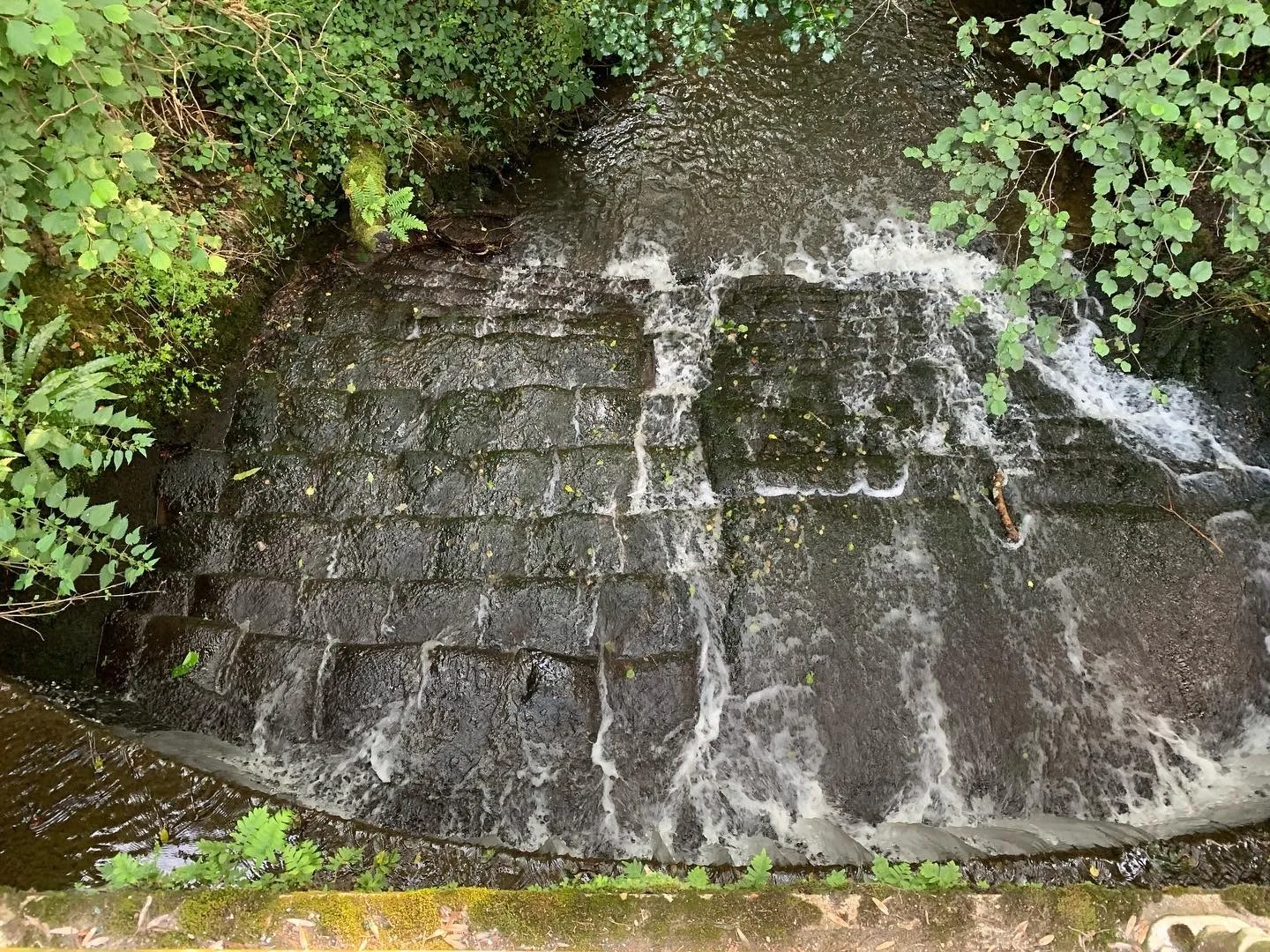 hippie feet <3 OnlyFans header