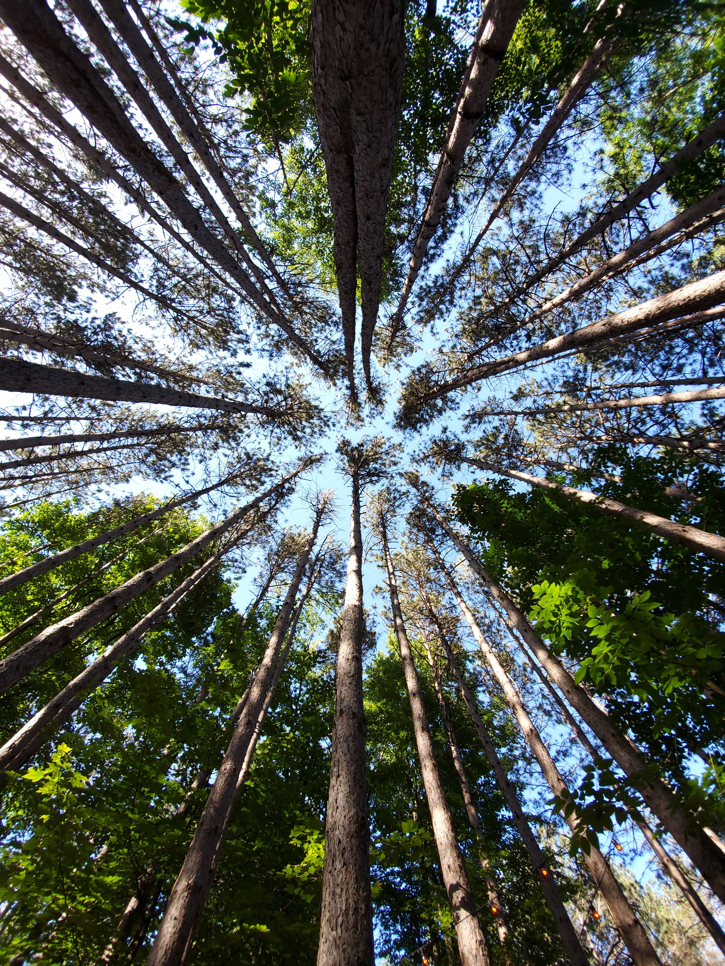 Fairy Feet Adventure OnlyFans header