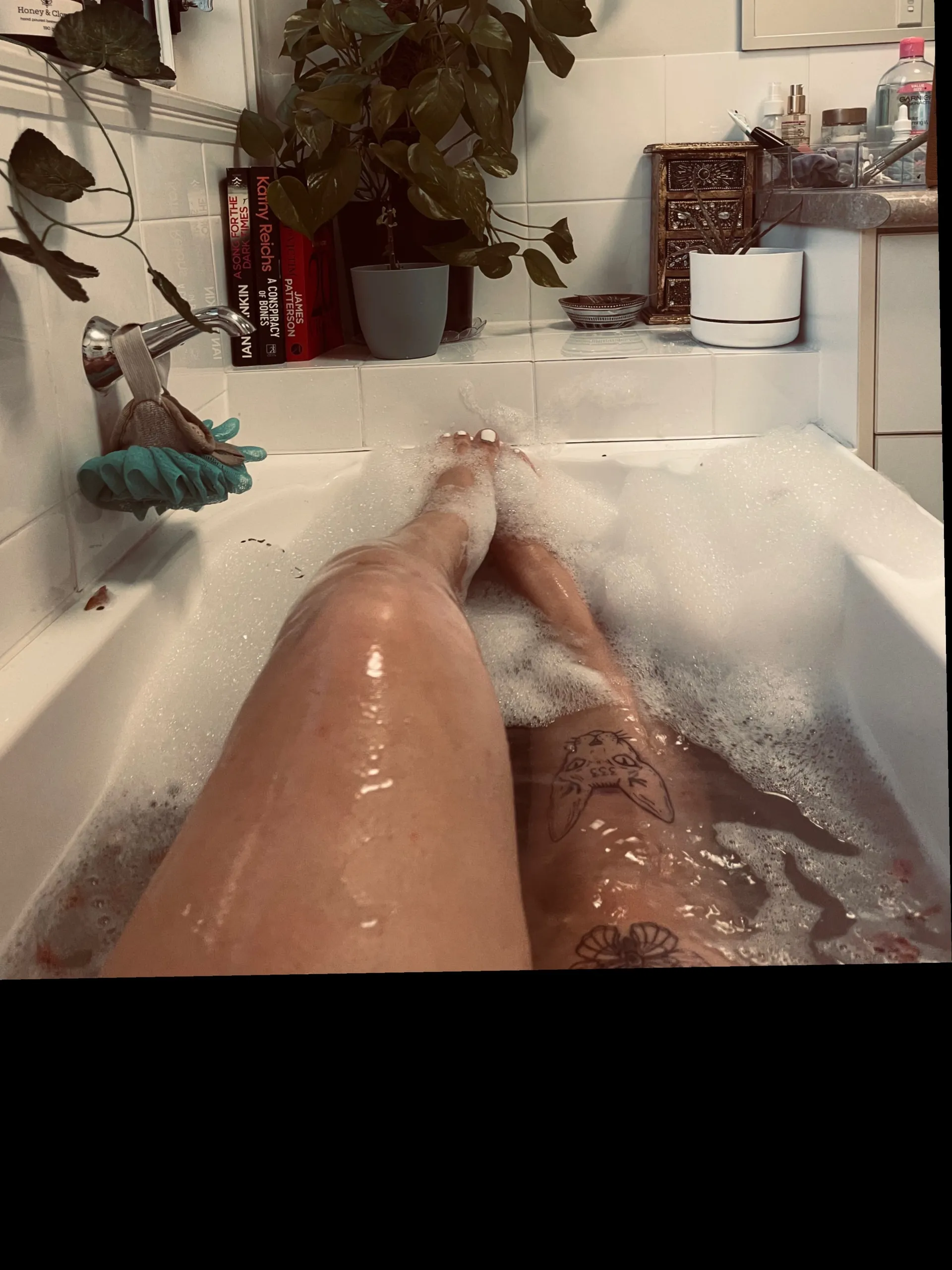 Garden fairy🦋 OnlyFans header