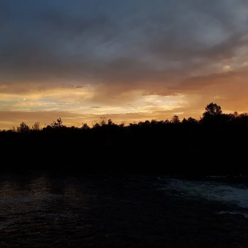 Fairy Lumberjack Daddy OnlyFans header