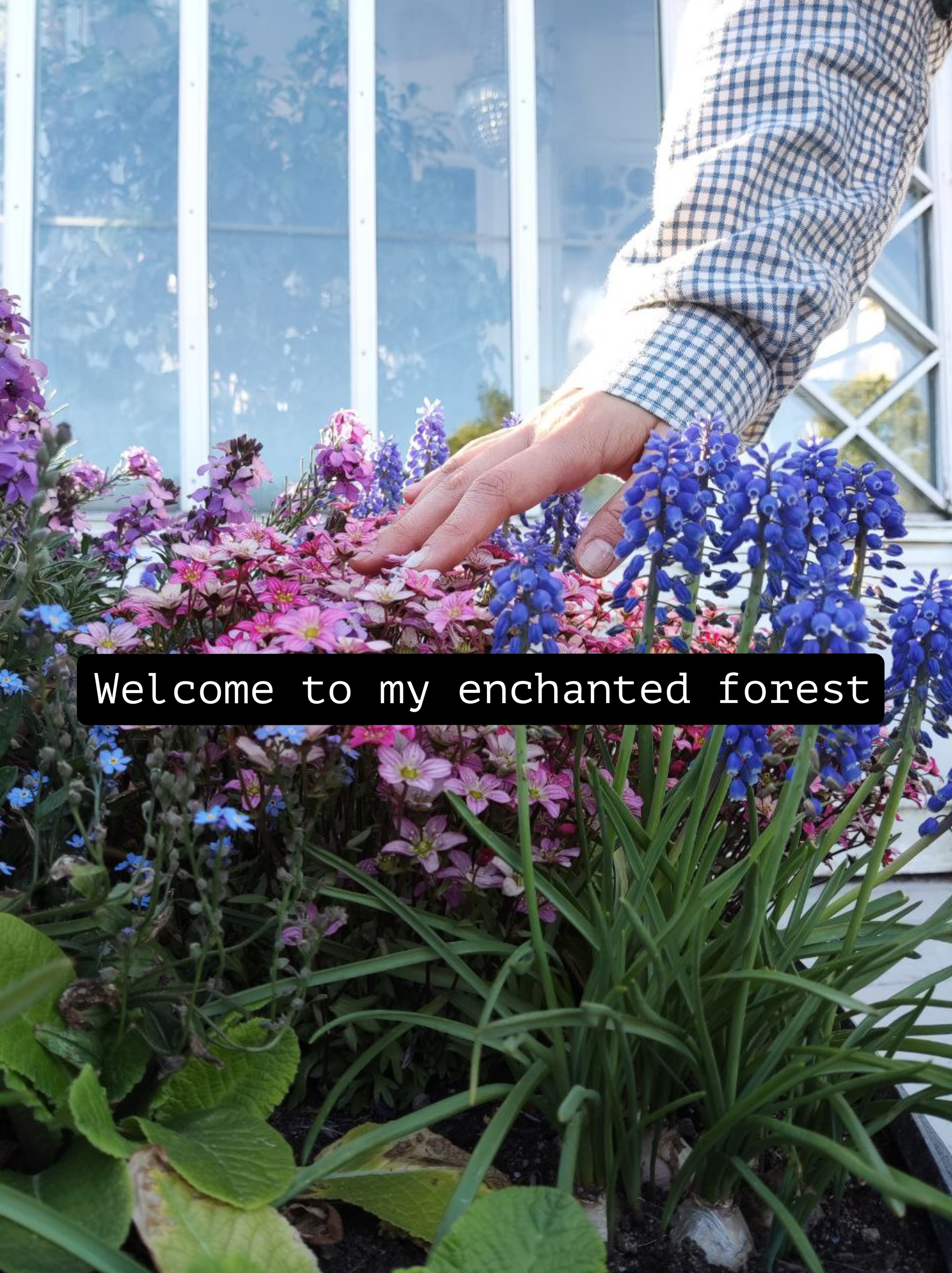 Fairyoak OnlyFans header