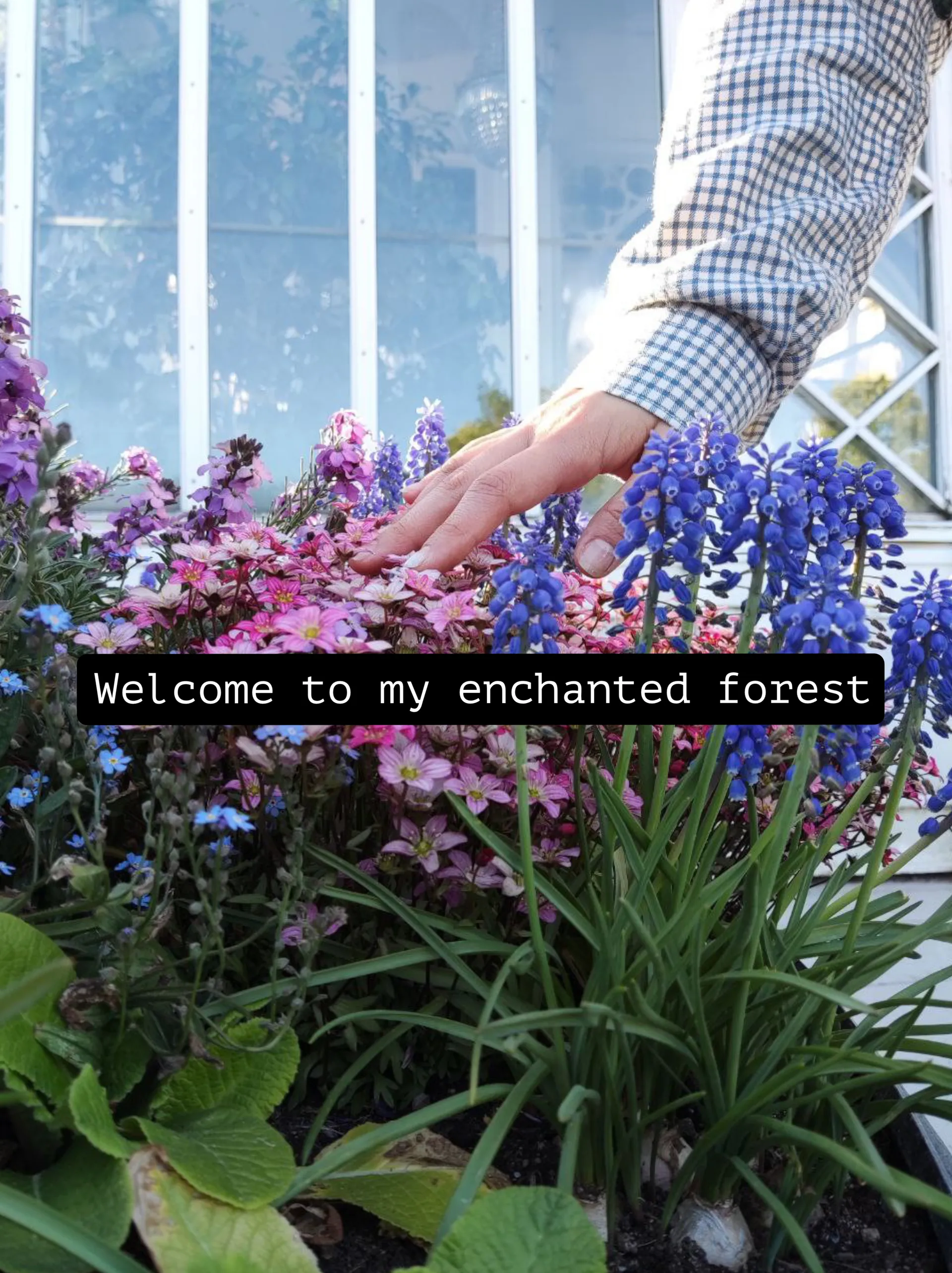 Fairyoak OnlyFans header