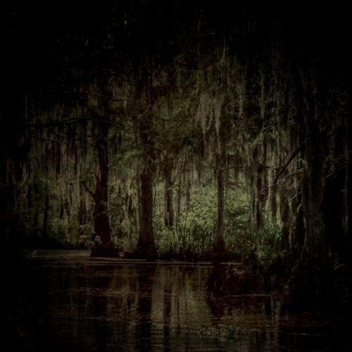 Jules 🏴‍☠️ OnlyFans header