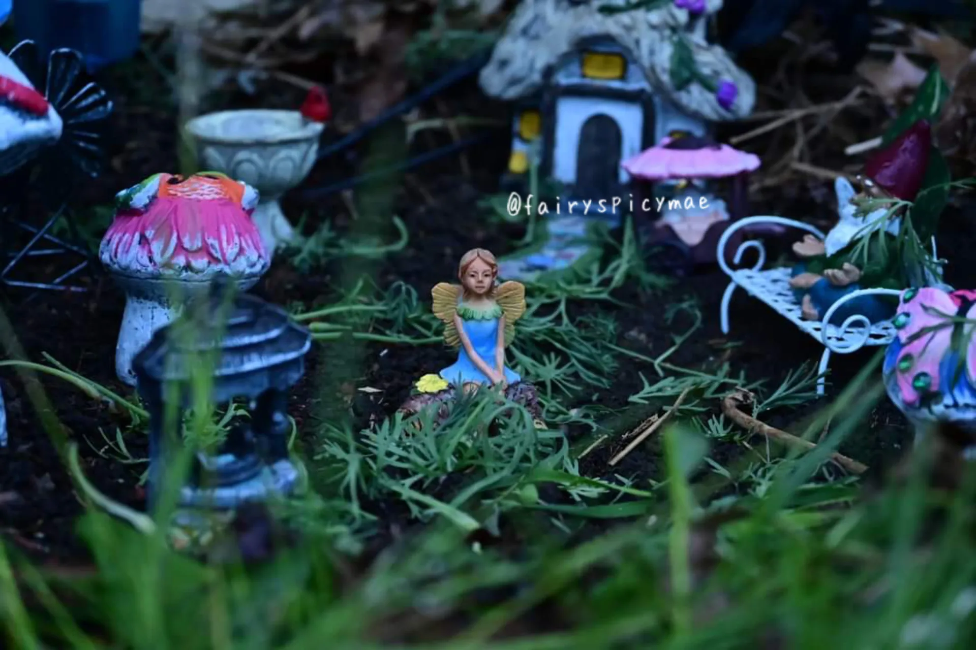 Petunia 🧚‍♀️✨🌸