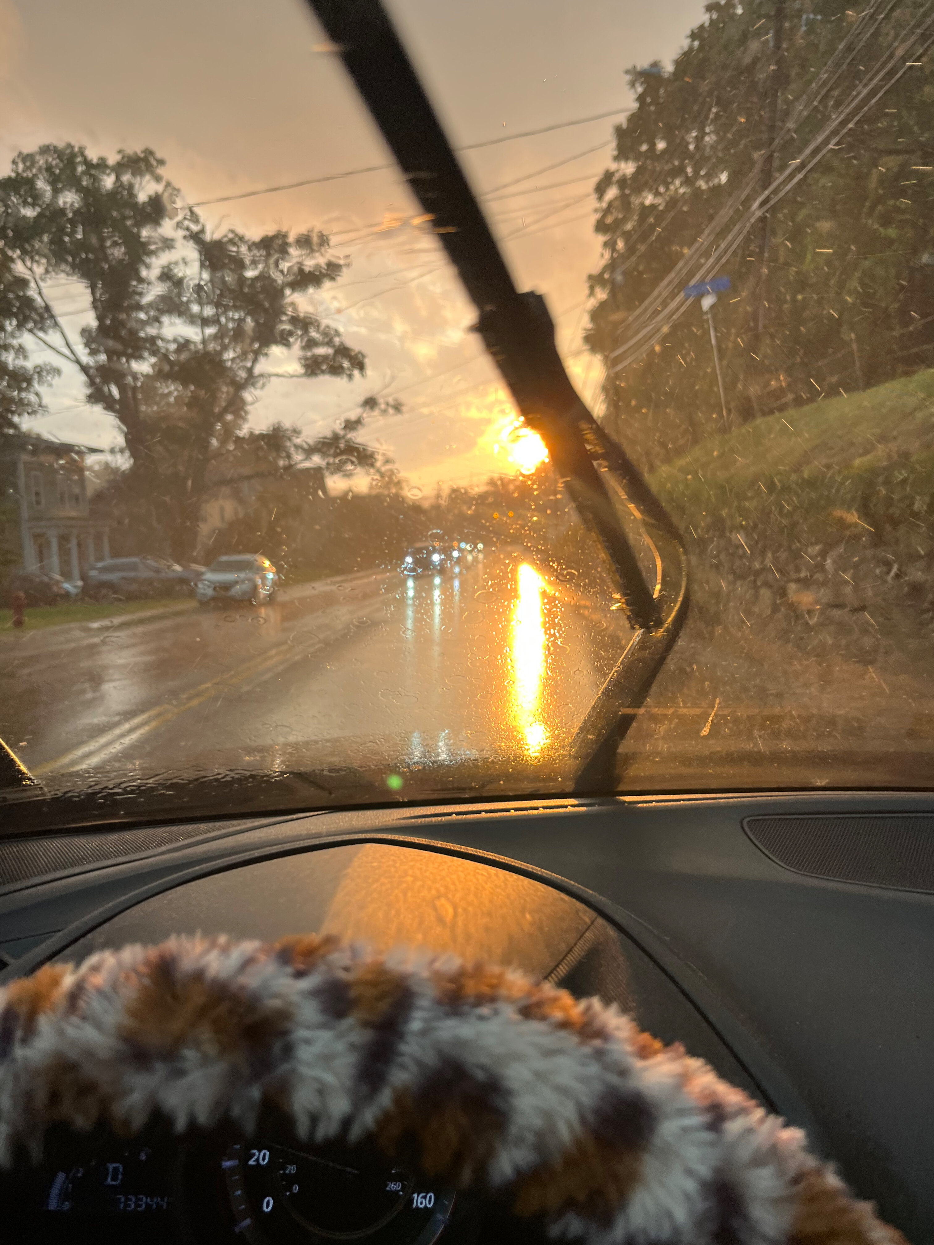 fairy🧚 OnlyFans header