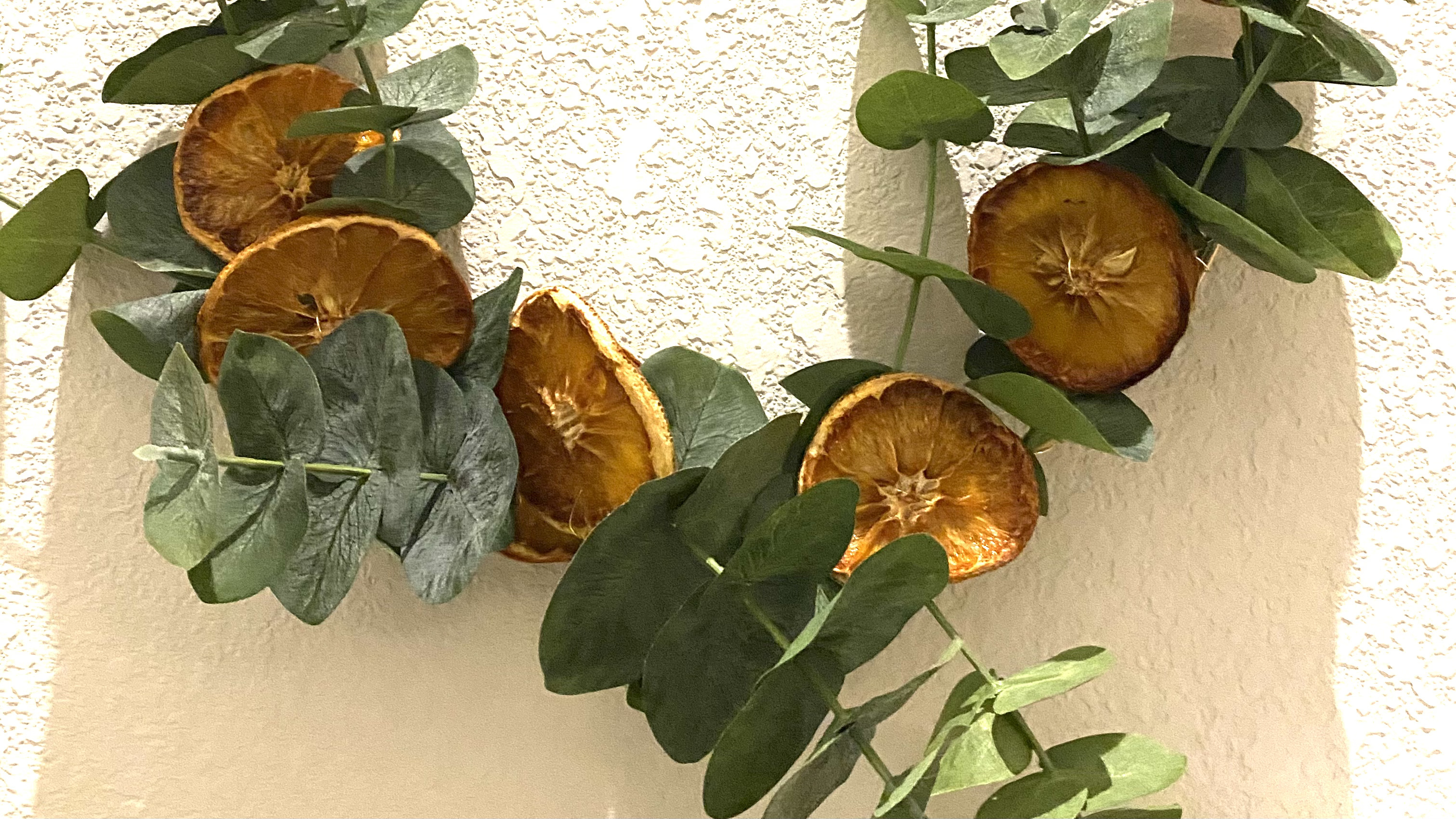 Kate OnlyFans header