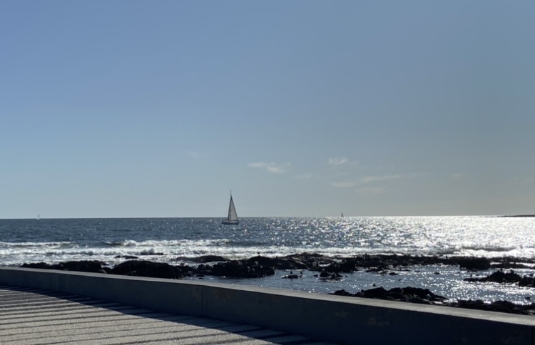 Mendoza OnlyFans header