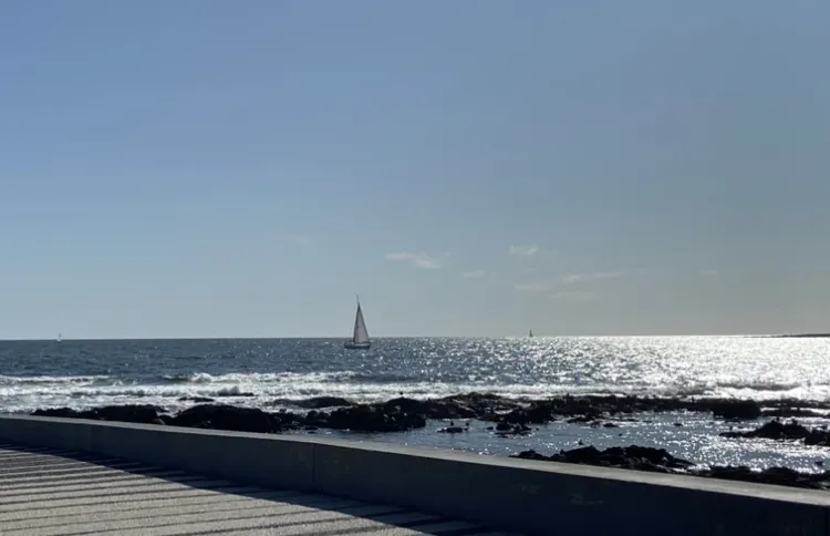 Mendoza OnlyFans header