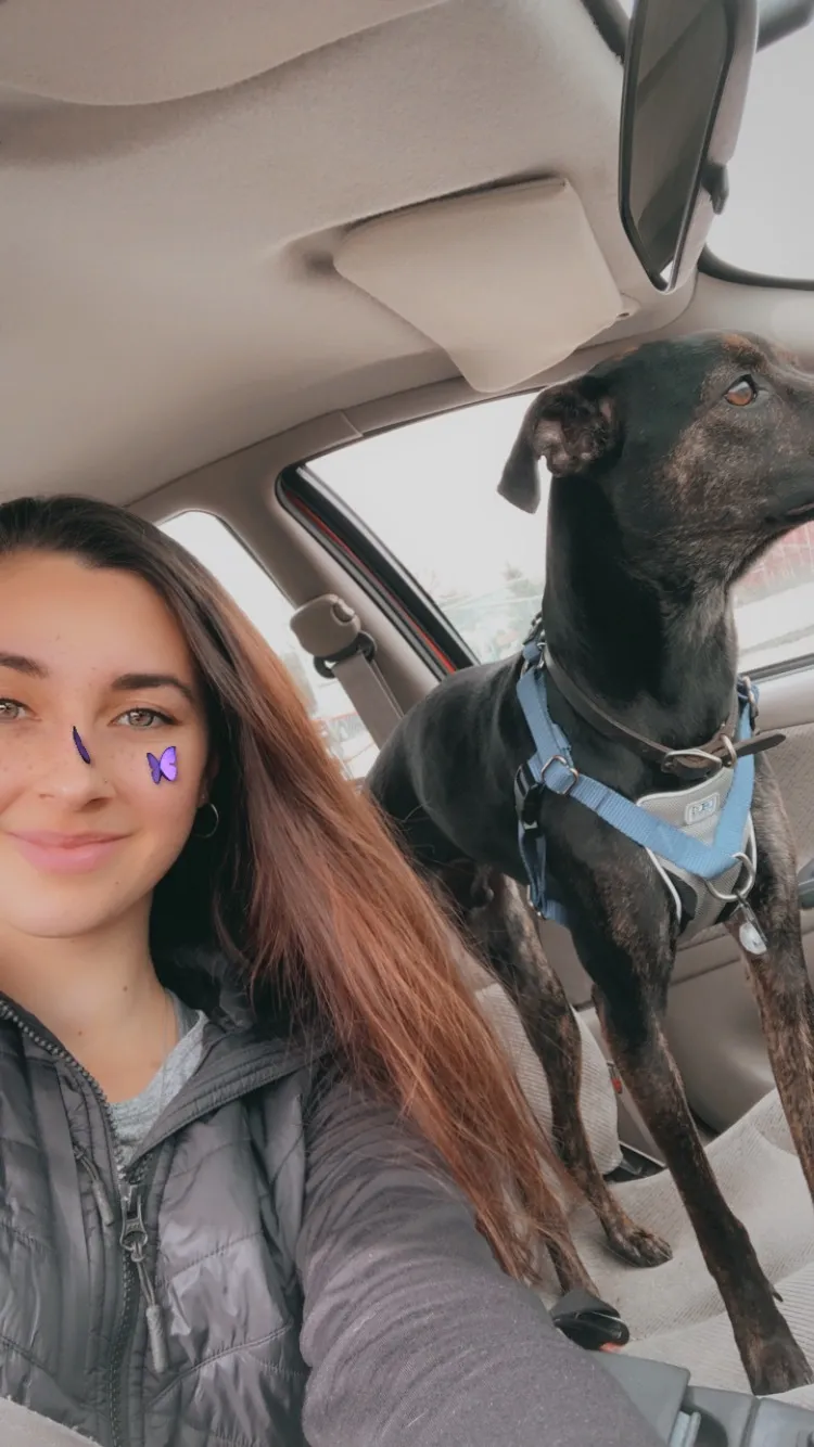 FaithM OnlyFans header