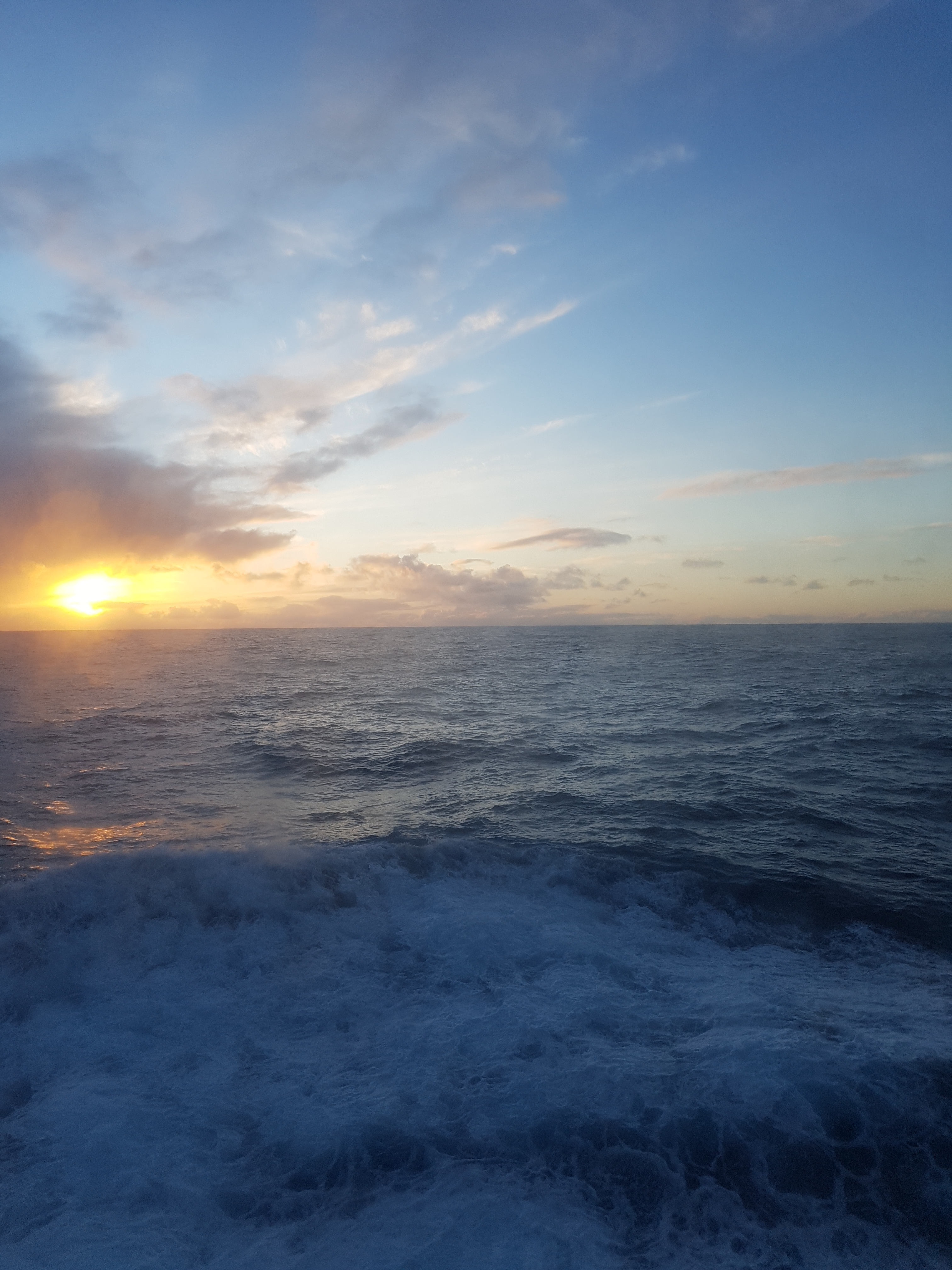 Fakeboi OnlyFans header