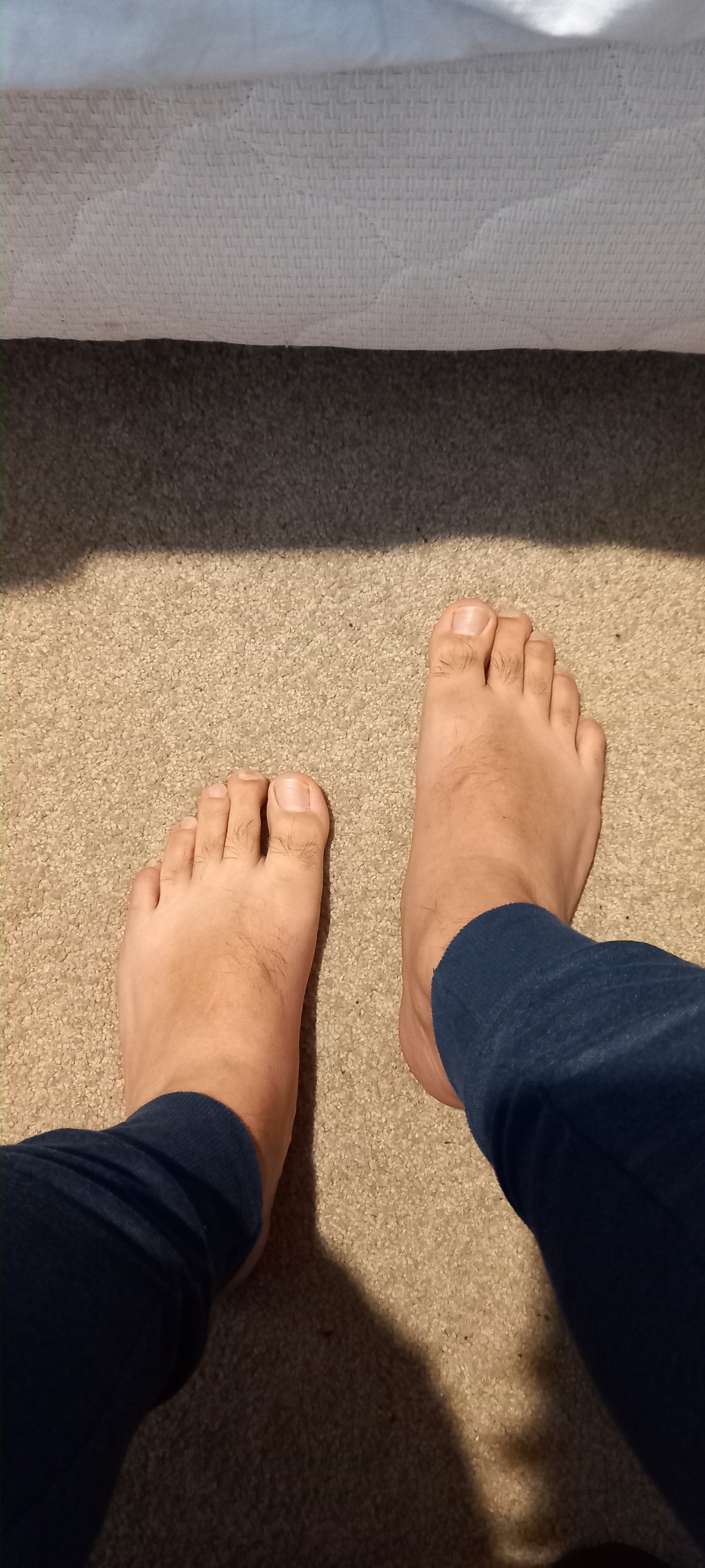 @falconstart OnlyFans header