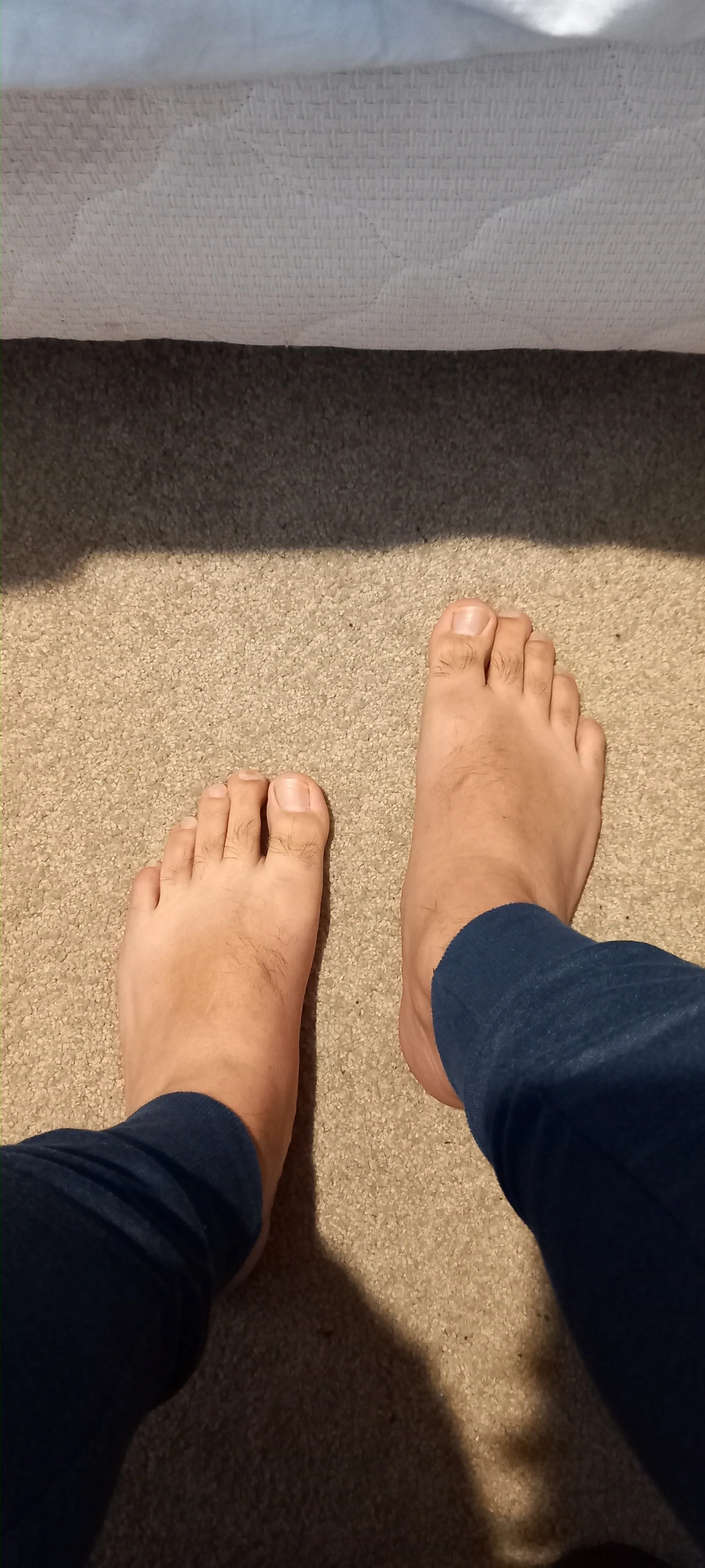 @falconstart OnlyFans header