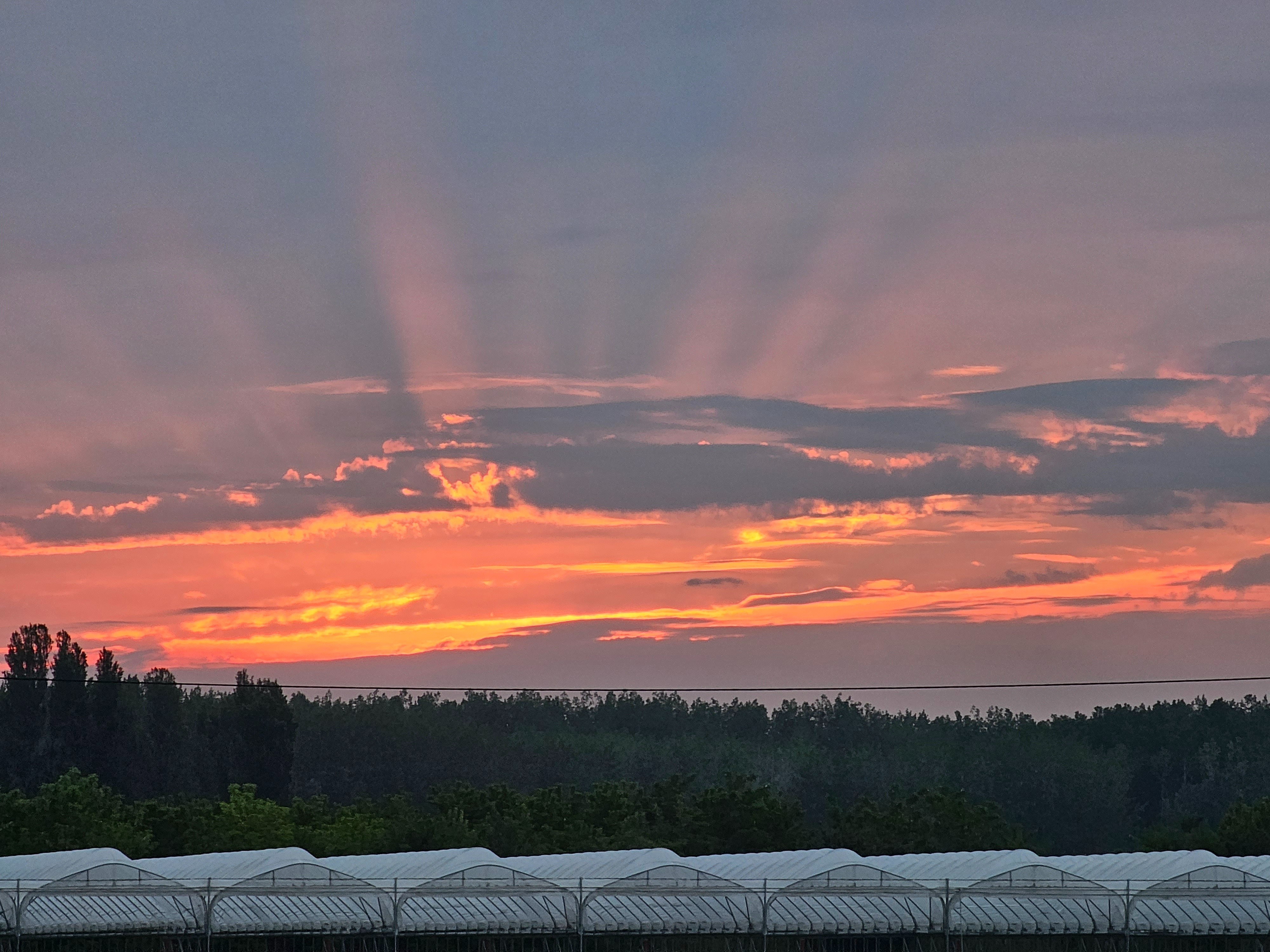 falikut OnlyFans header