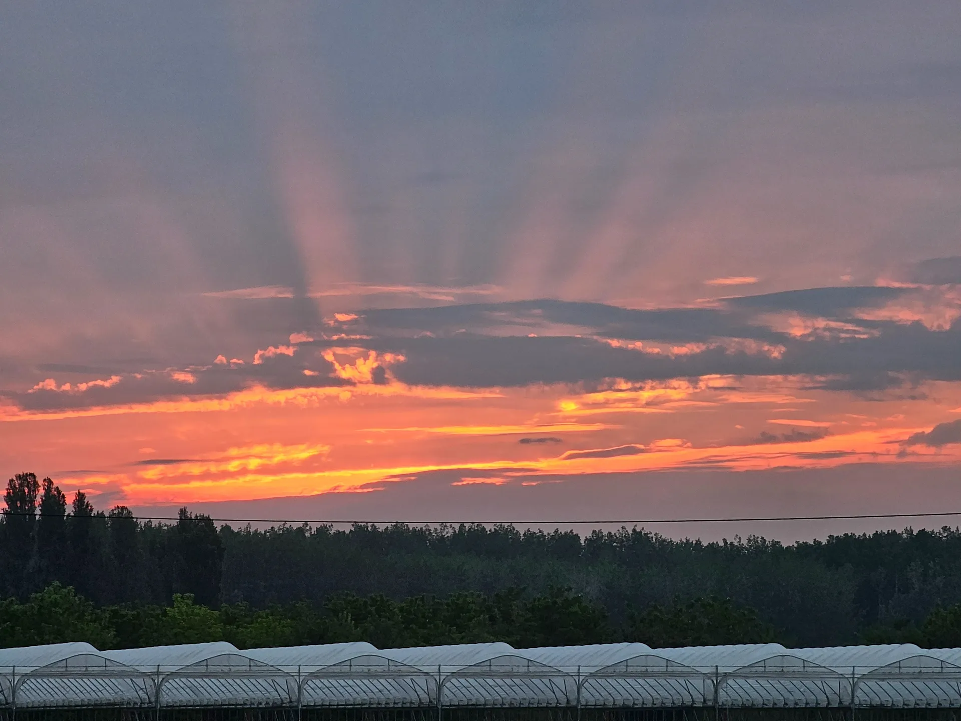 falikut OnlyFans header