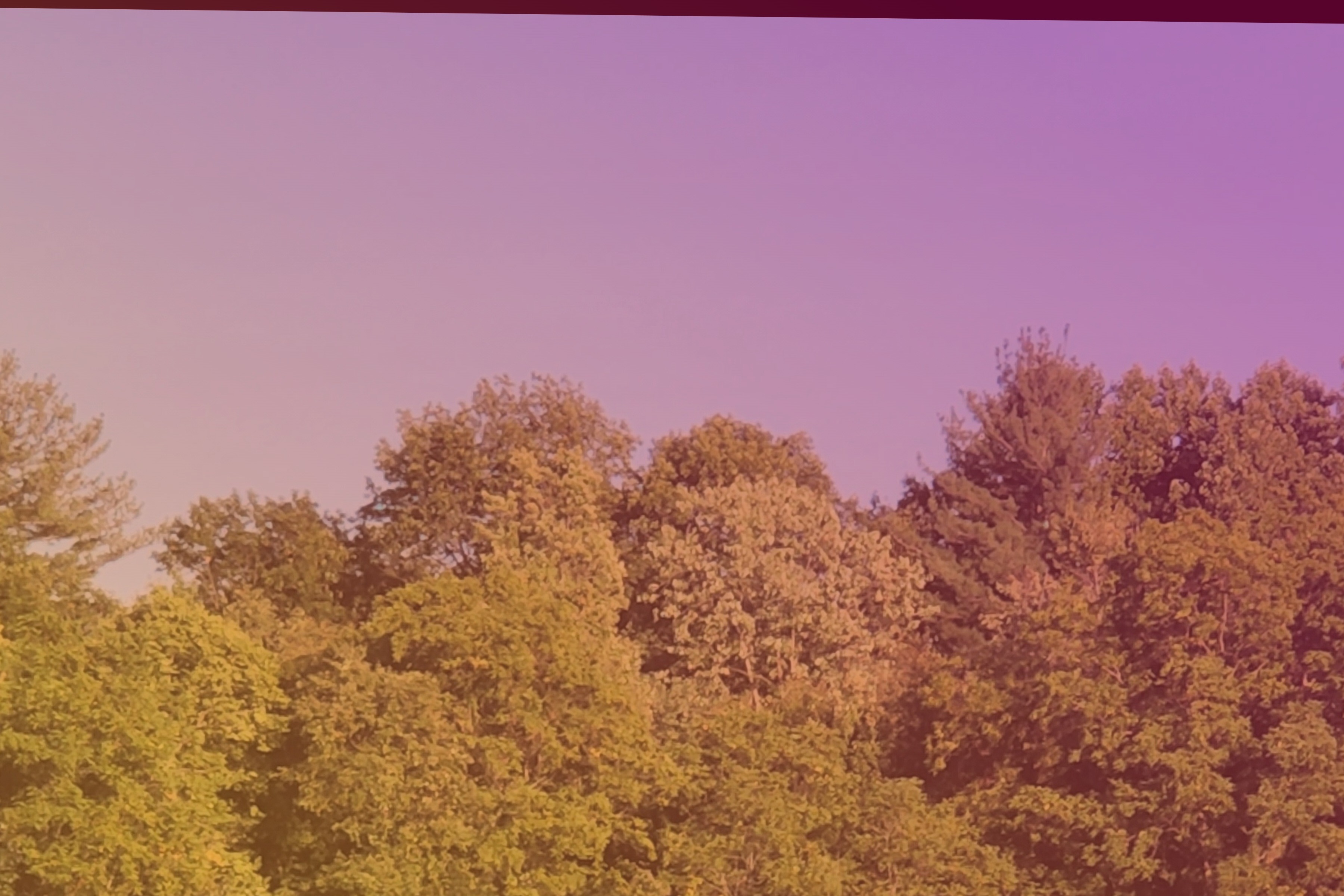 fall_lover69 OnlyFans header