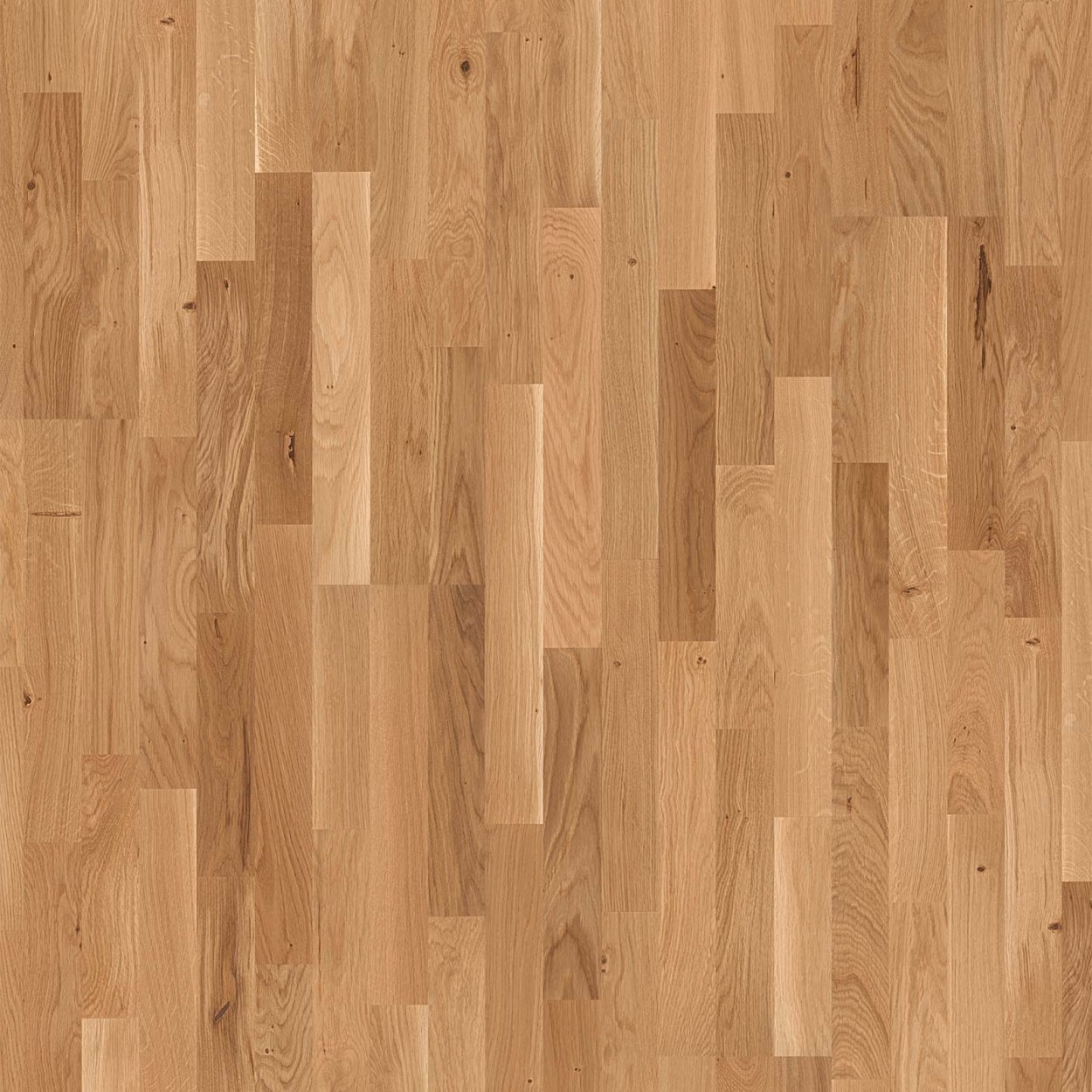 Ellen OnlyFans header