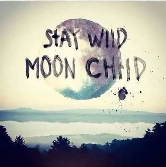 Jessica OnlyFans header