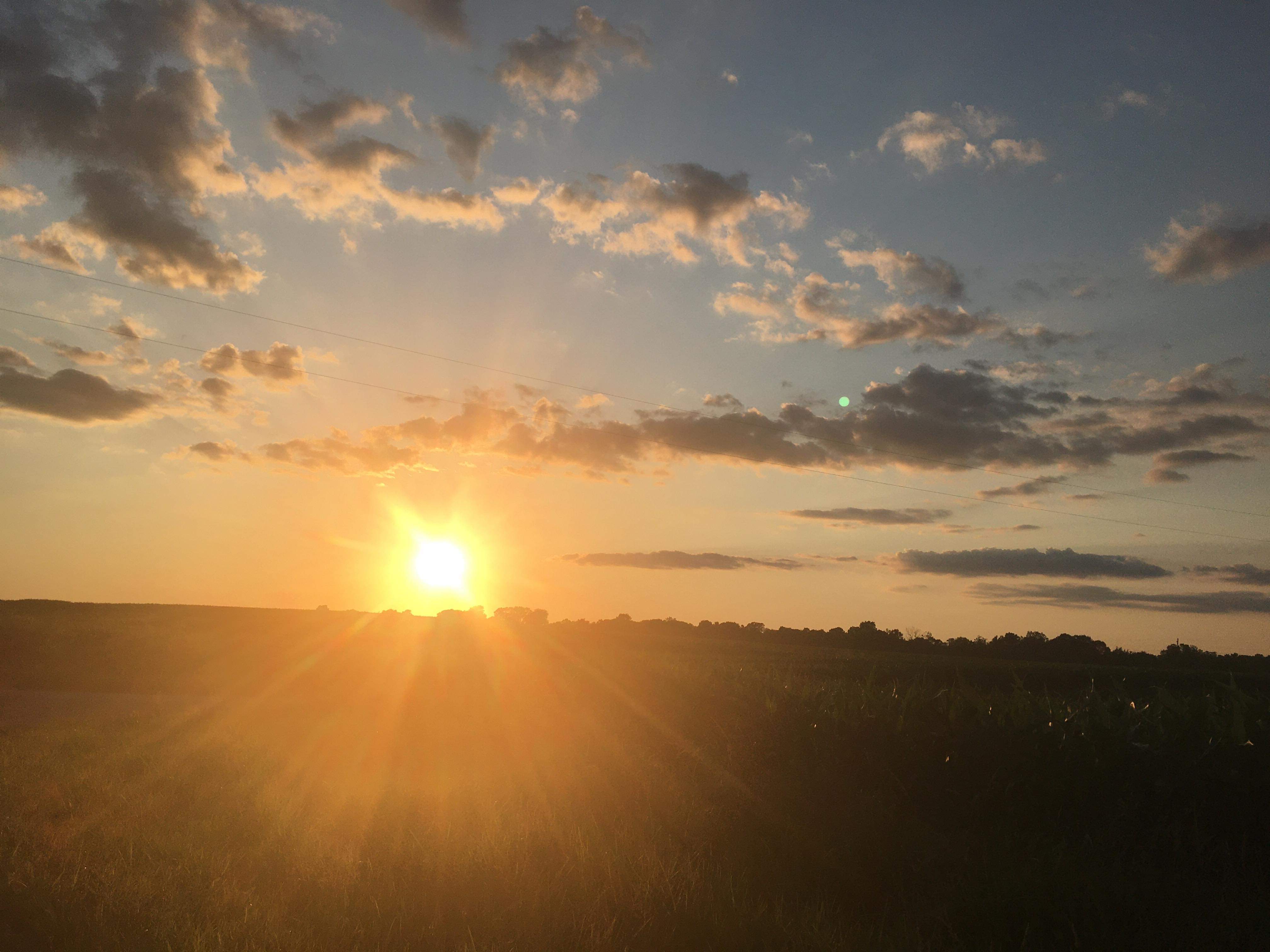 Nikki OnlyFans header