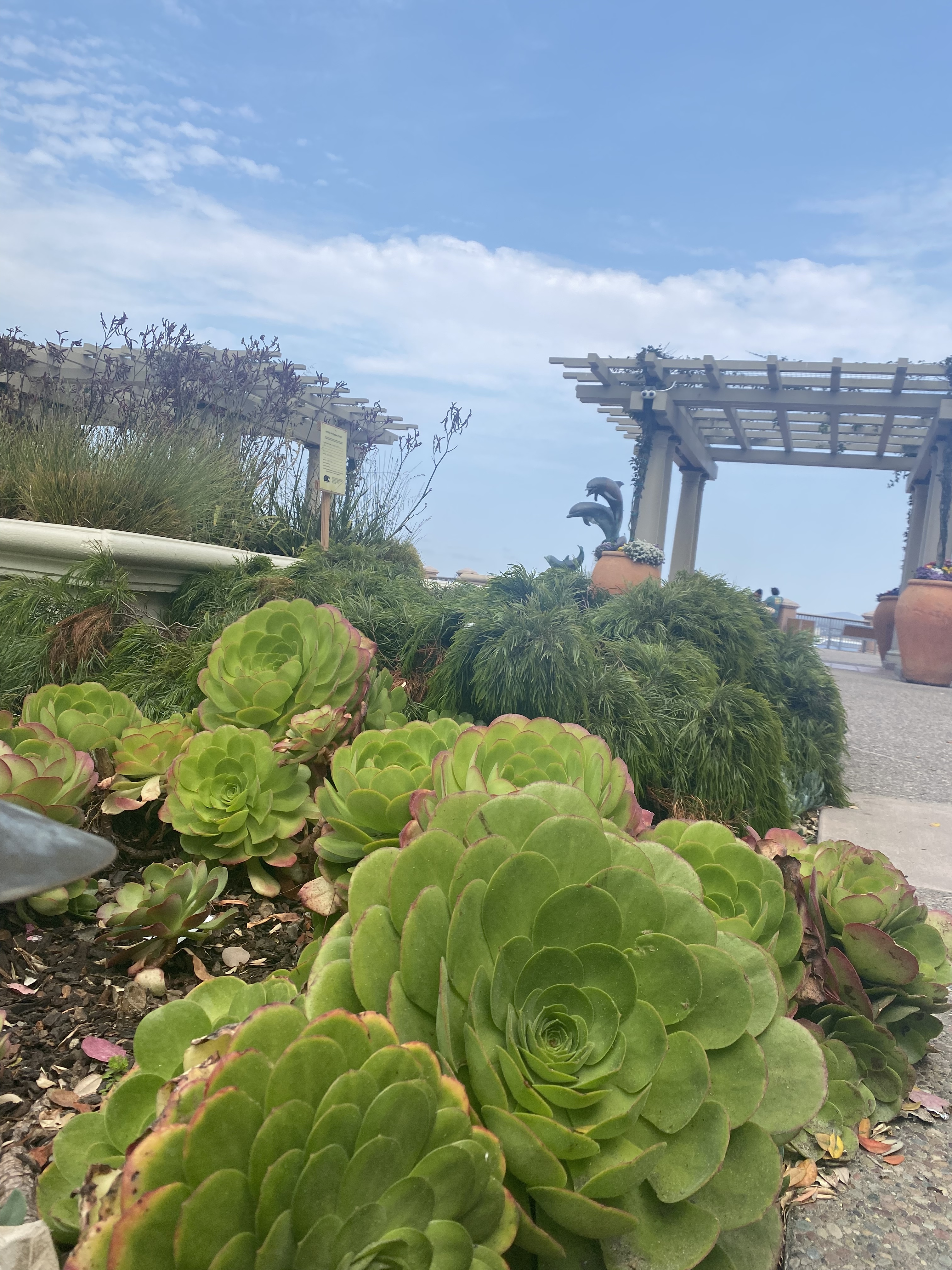 PrettyBitch OnlyFans header