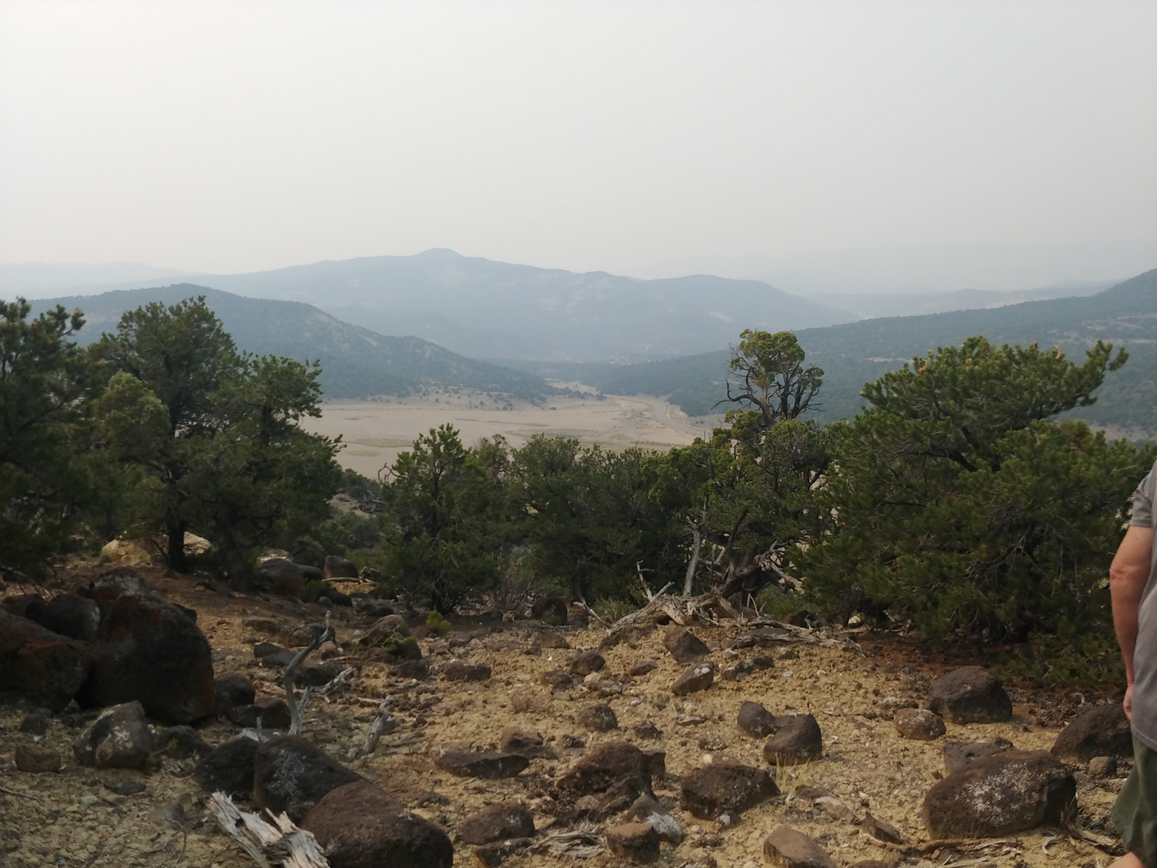 Angell Meep OnlyFans header