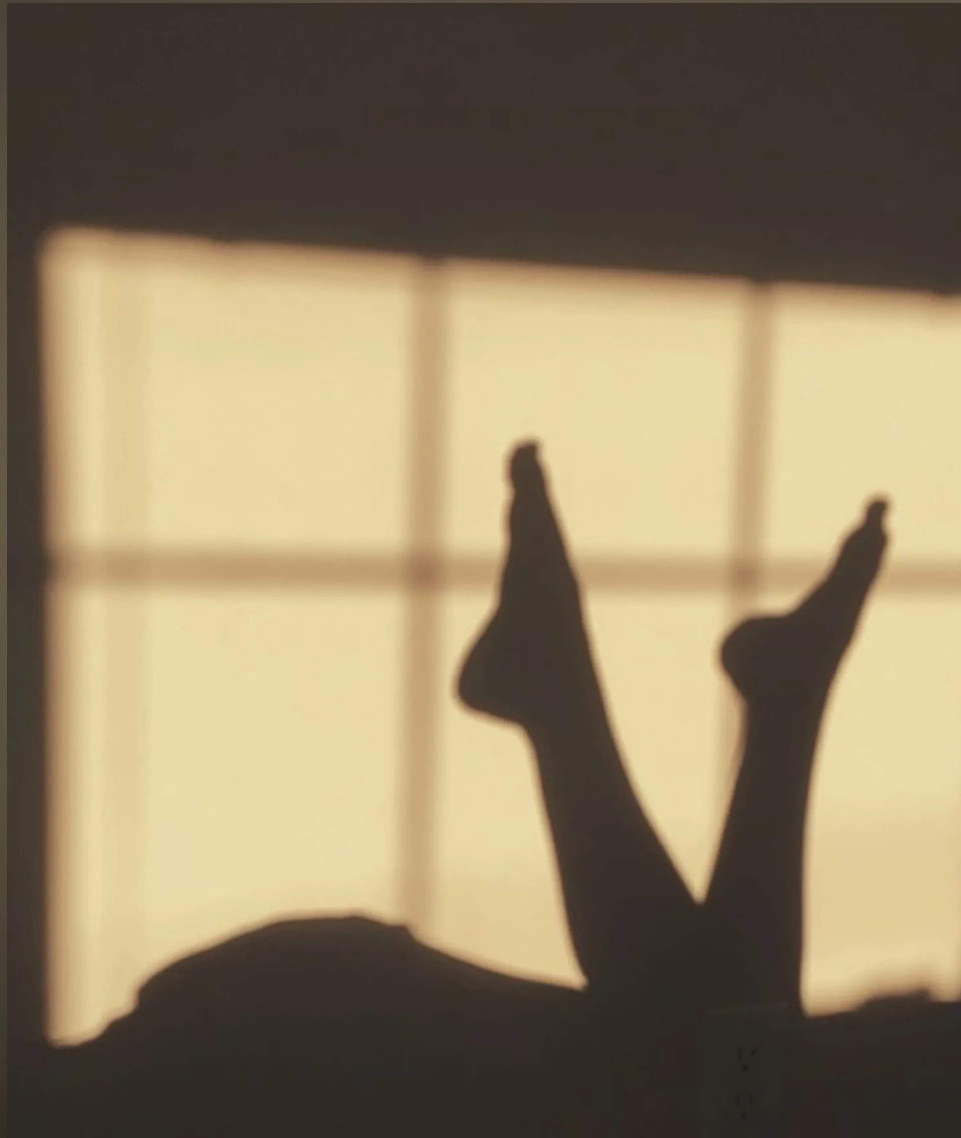 _FallenEaster_ OnlyFans header