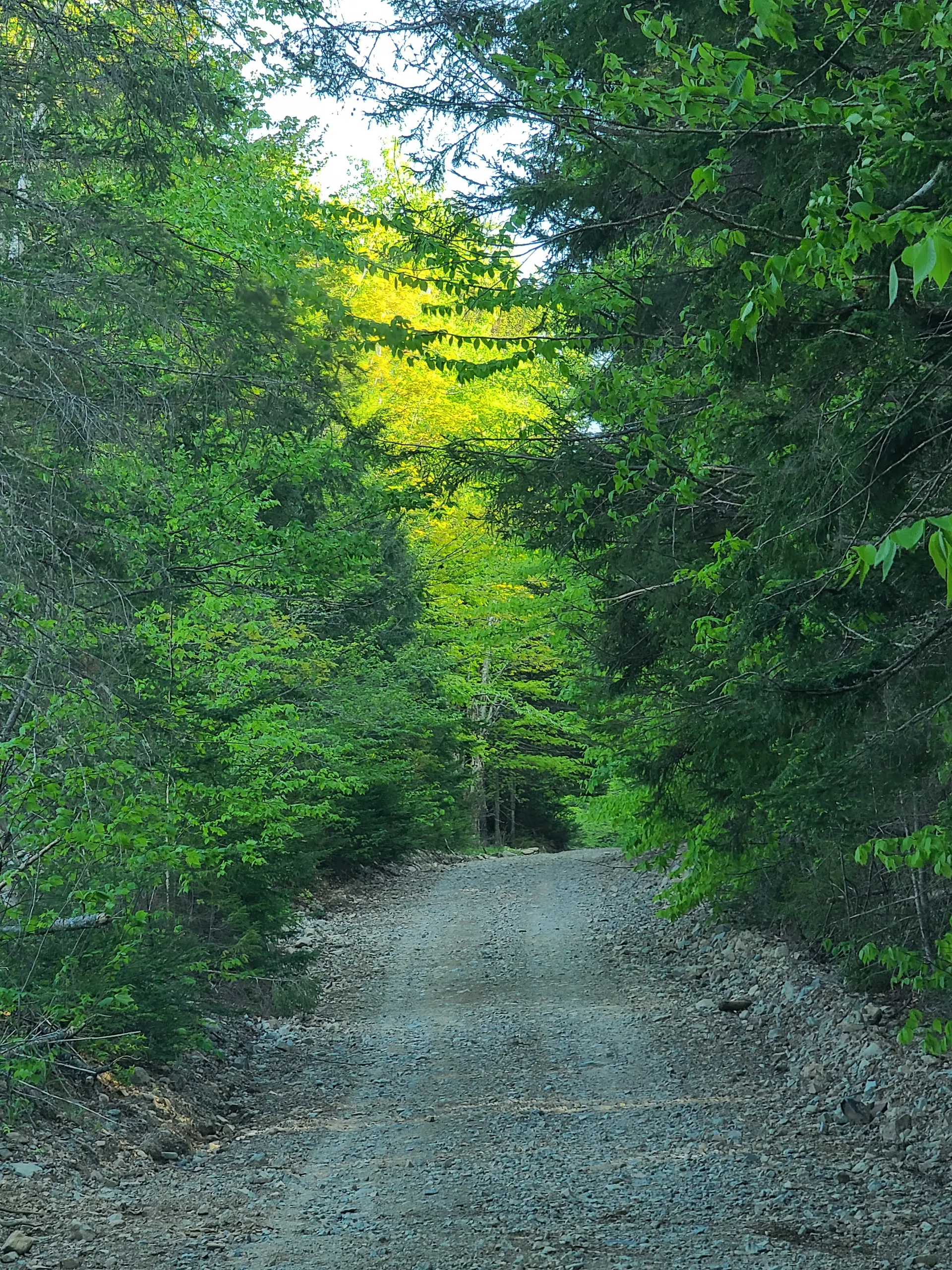 Aubrey OnlyFans header