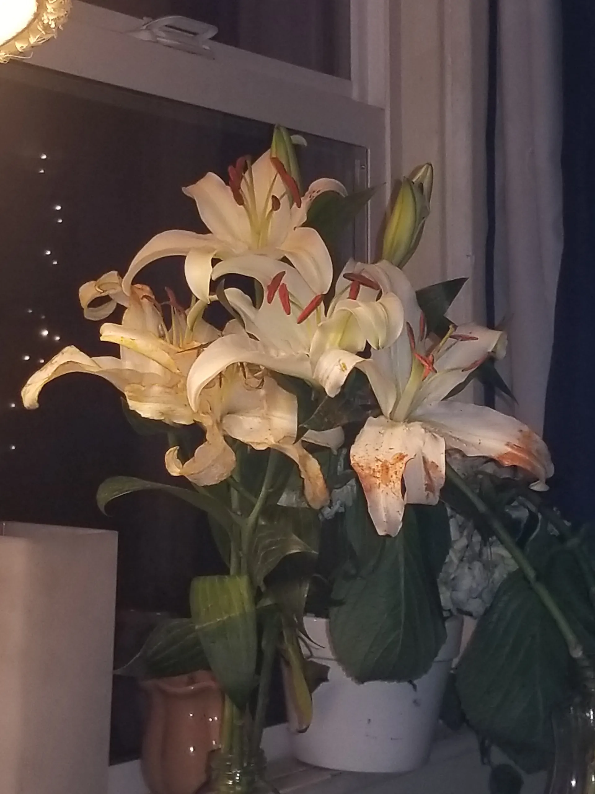 ricky OnlyFans header