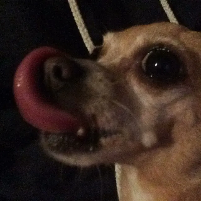 Bambi Dawsey OnlyFans header