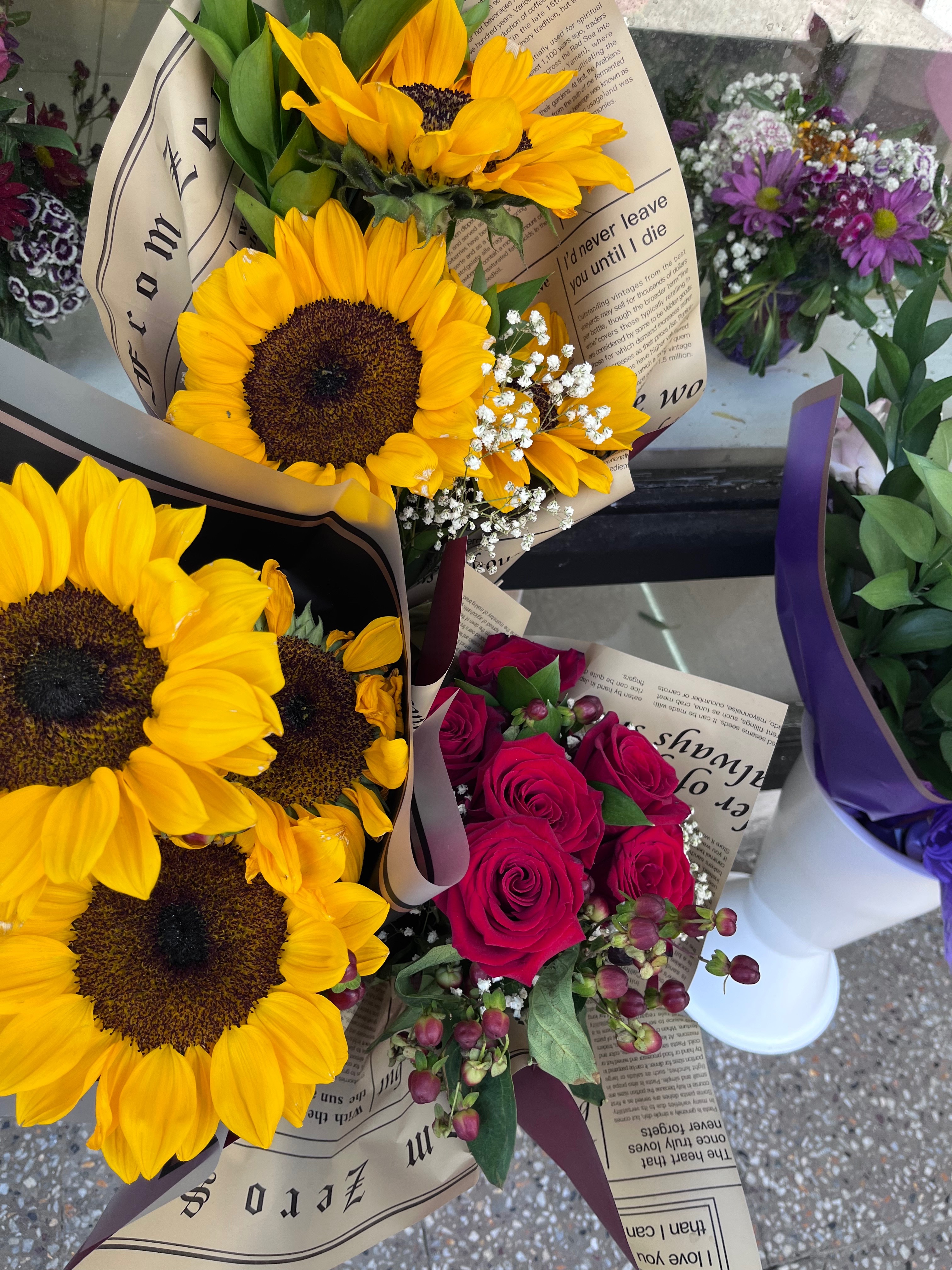 Tía Fall OnlyFans header