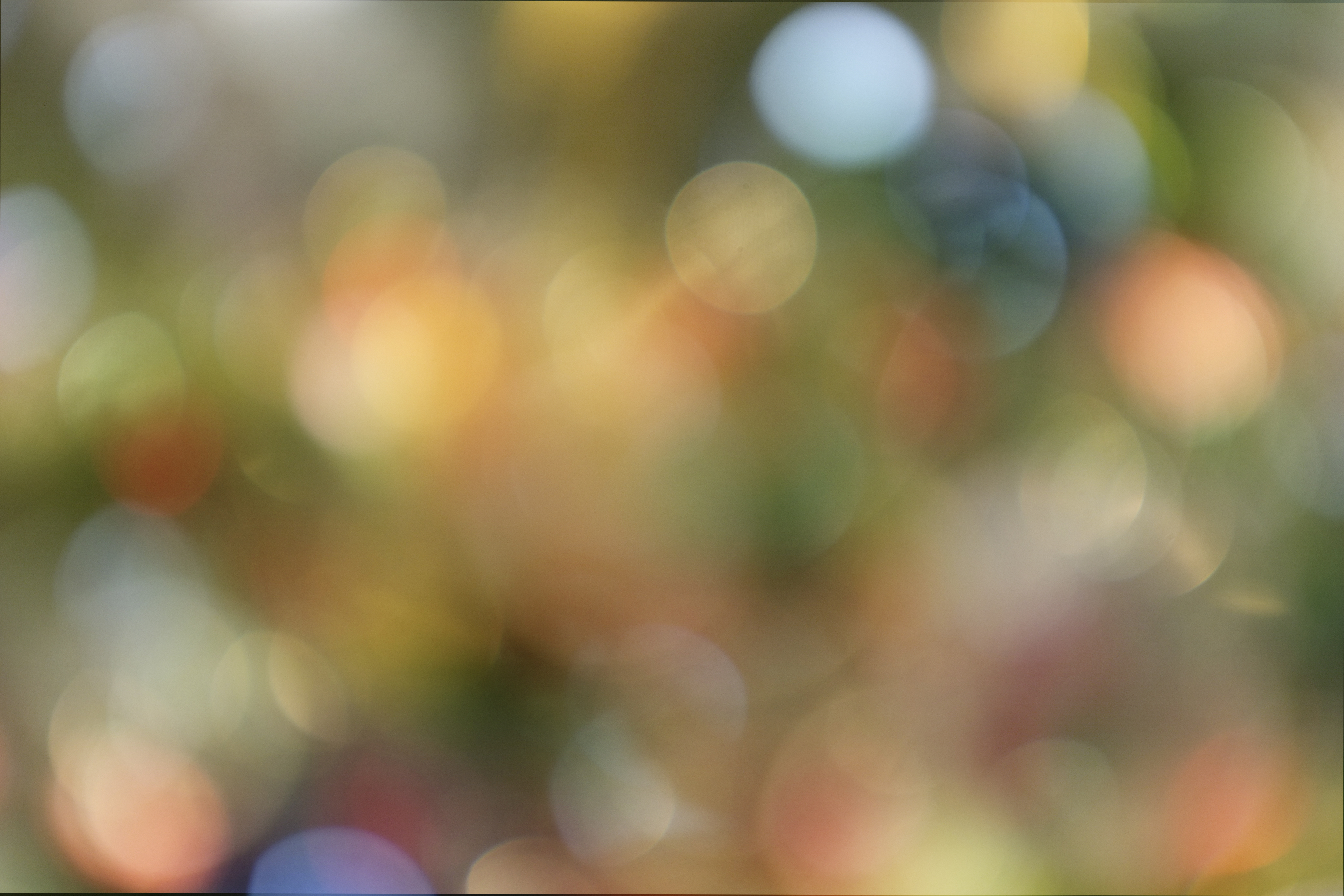 Regan Leigh OnlyFans header