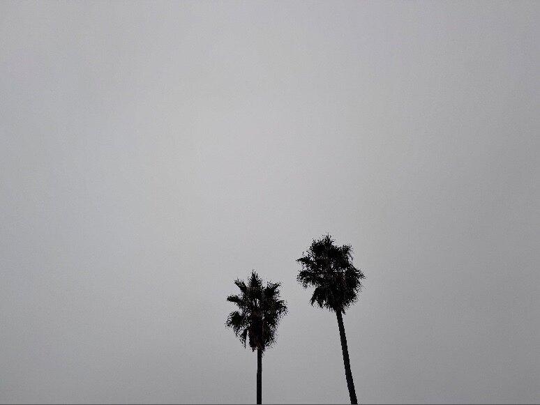 Troy.64 OnlyFans header