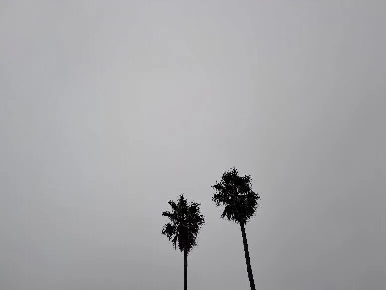 Troy.64 OnlyFans header