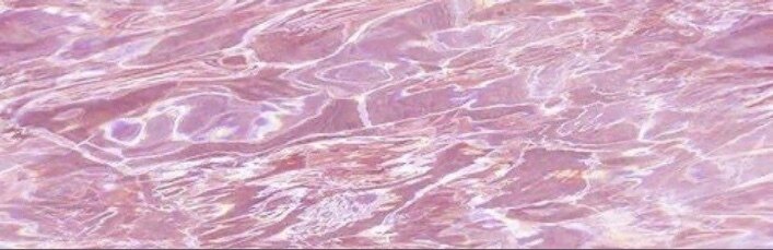 👸🏻 OnlyFans header