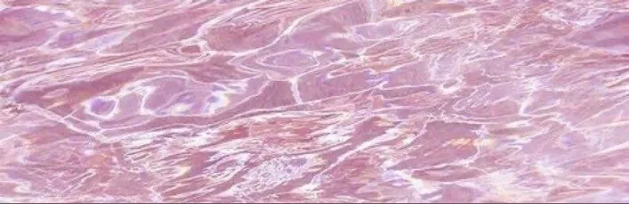 👸🏻 OnlyFans header