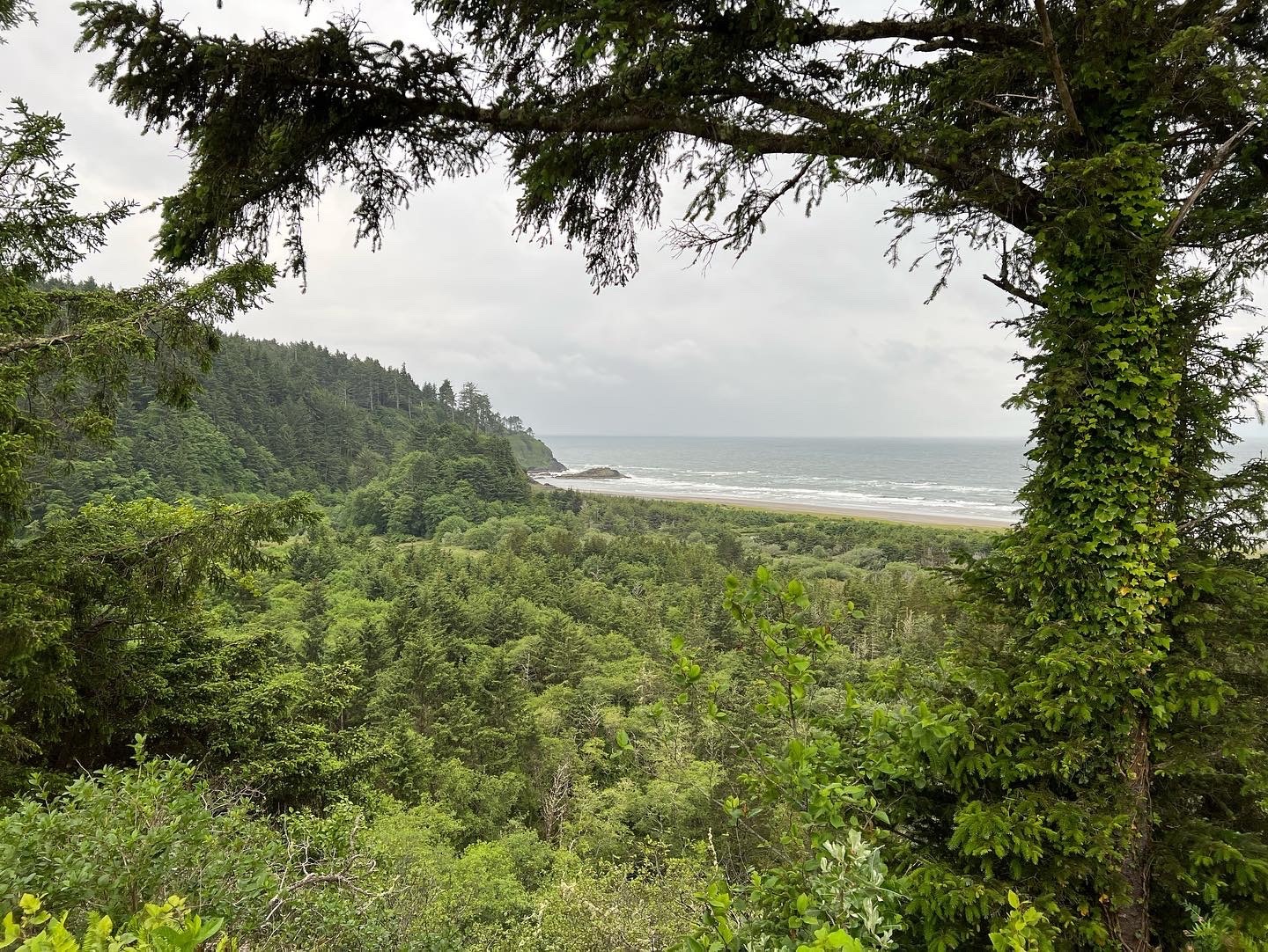 Fan_Fun OnlyFans header