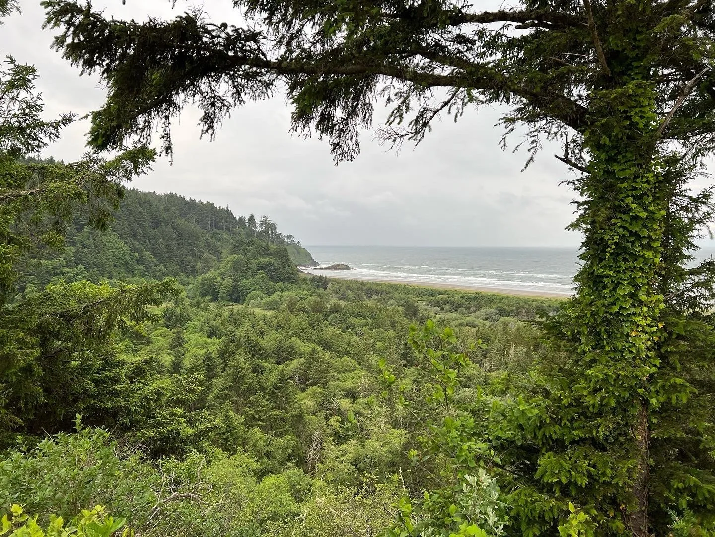 Fan_Fun OnlyFans header