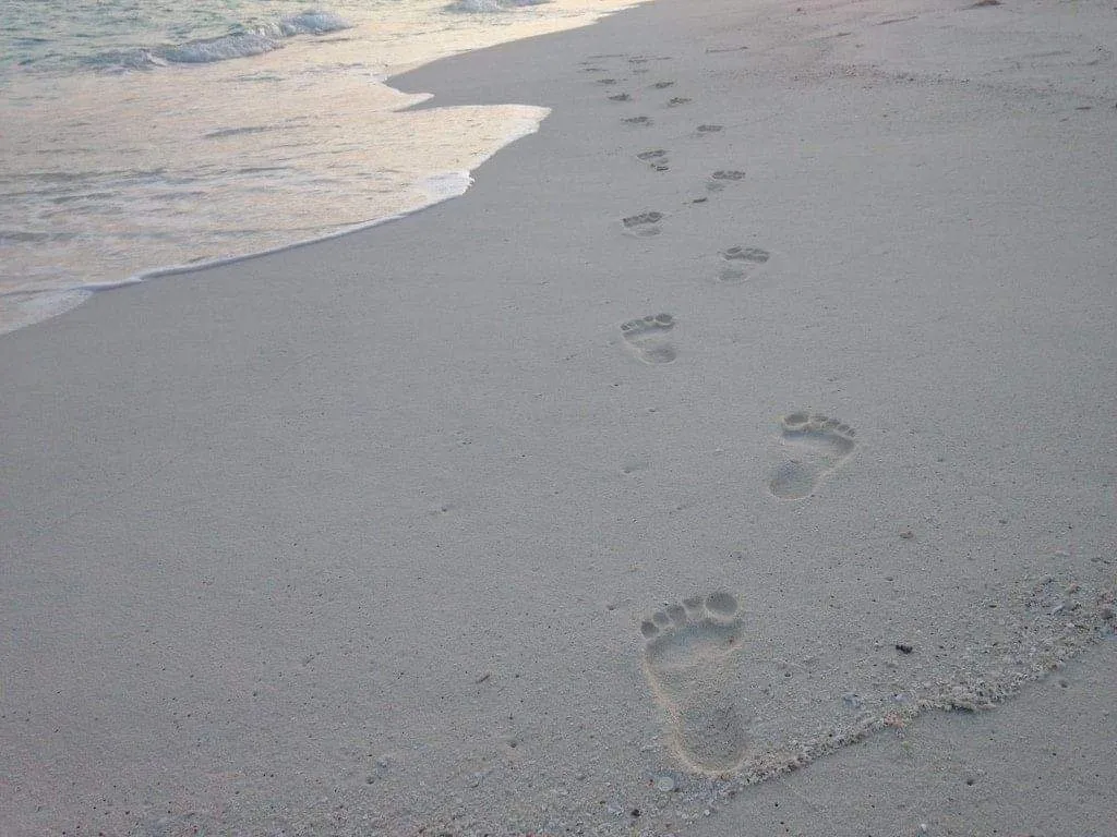 Fancy_Dancy_Feet OnlyFans header