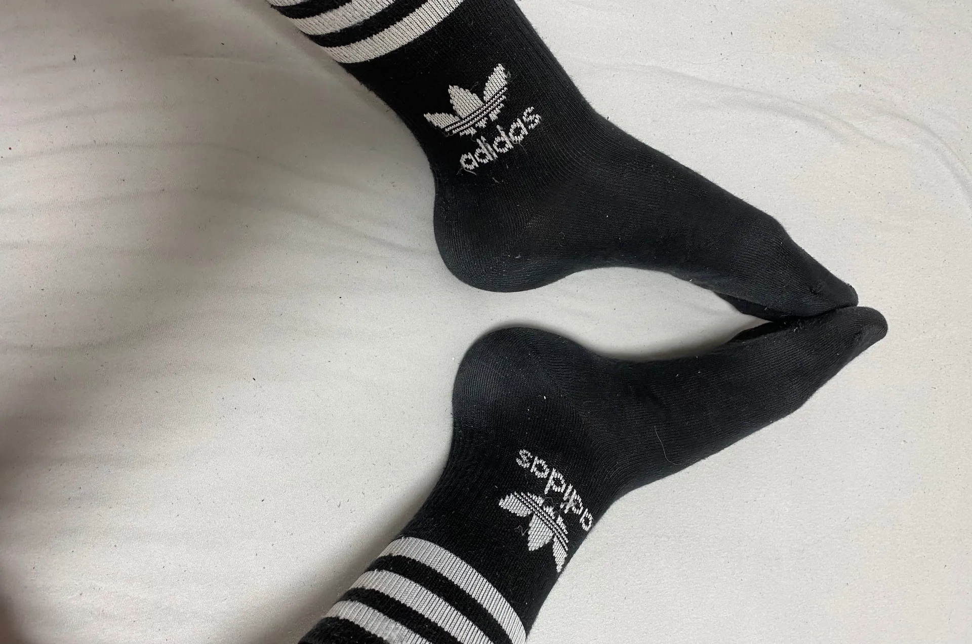 tallblonde OnlyFans header